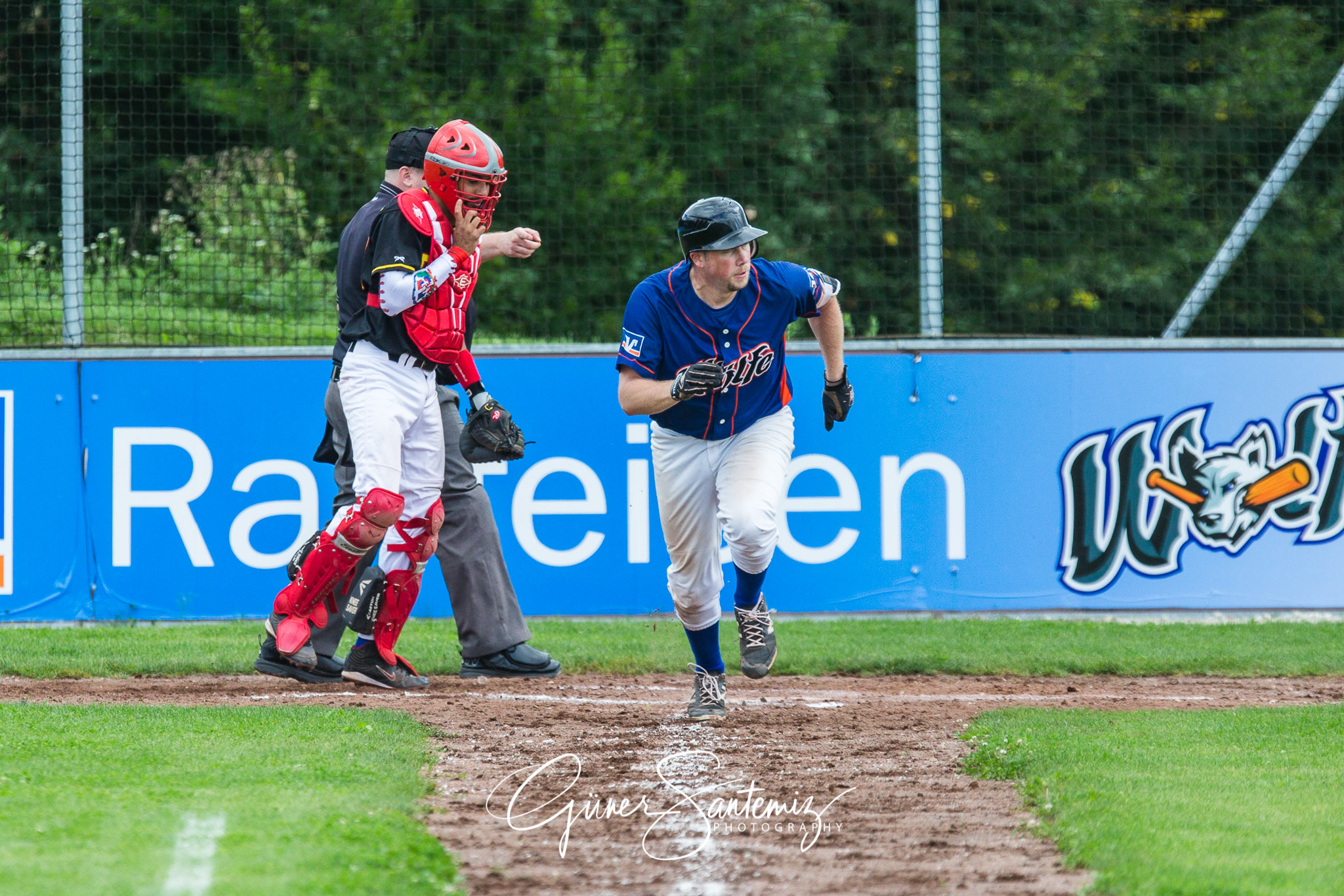 Baseball - Raiffeisen Wölfe Lauf - Fürth Pirates