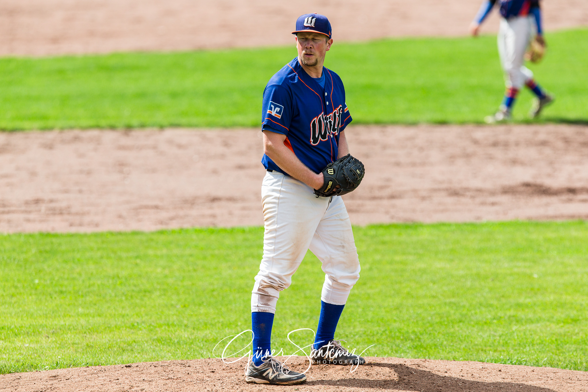 Baseball - Raiffeisen Wölfe Lauf - Fürth Pirates