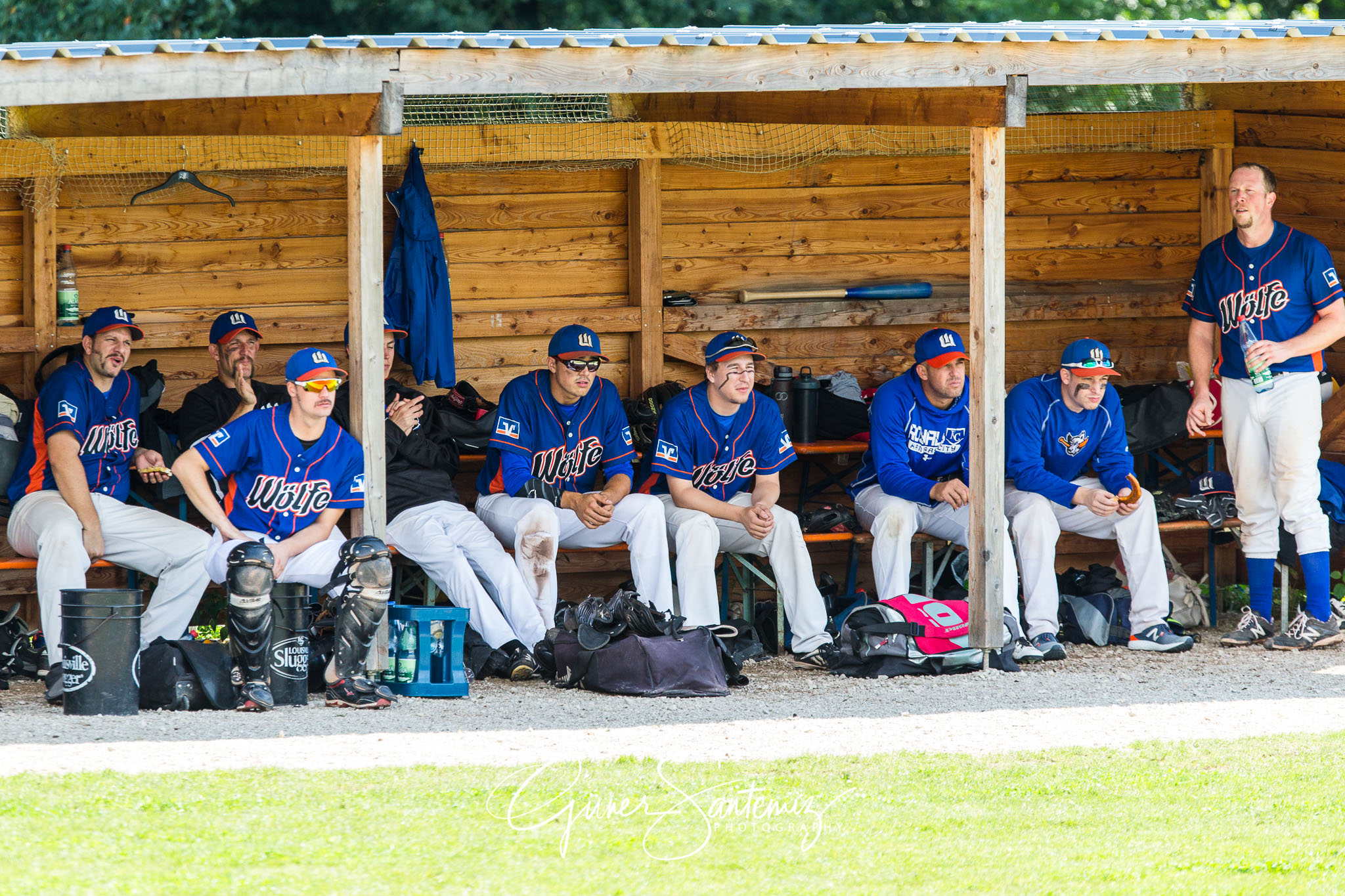 Baseball - Raiffeisen Wölfe Lauf - Fürth Pirates