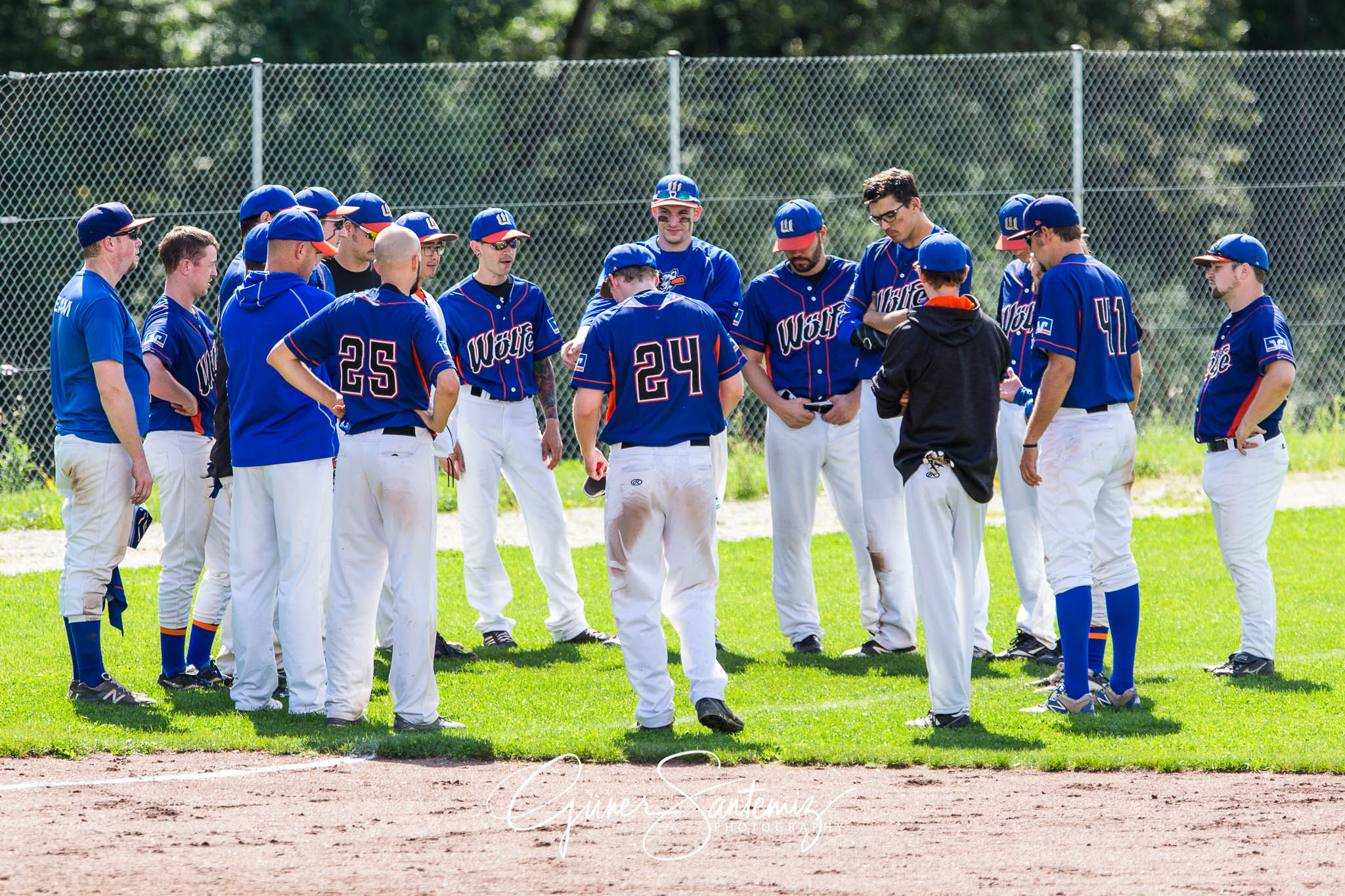 Baseball - Raiffeisen Wölfe Lauf - Fürth Pirates