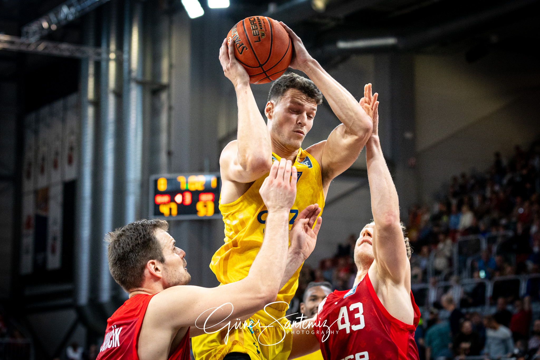 Brose Bamberg vs. Alba Berlin - Basketball - easyCredit BBL - 1.