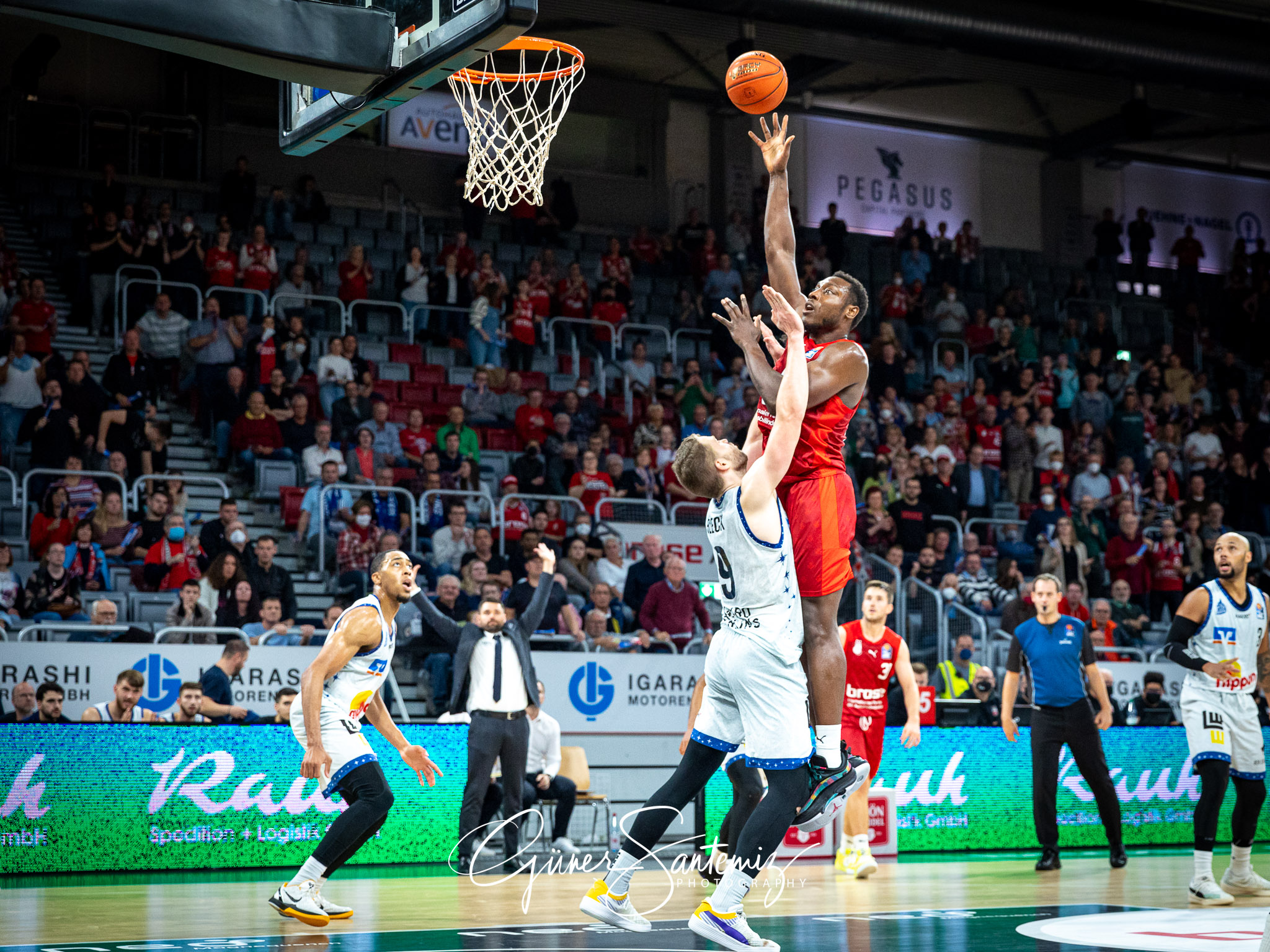 Brose Bamberg vs. Hakro Merlins Crailsheim - Basketball - easyCr