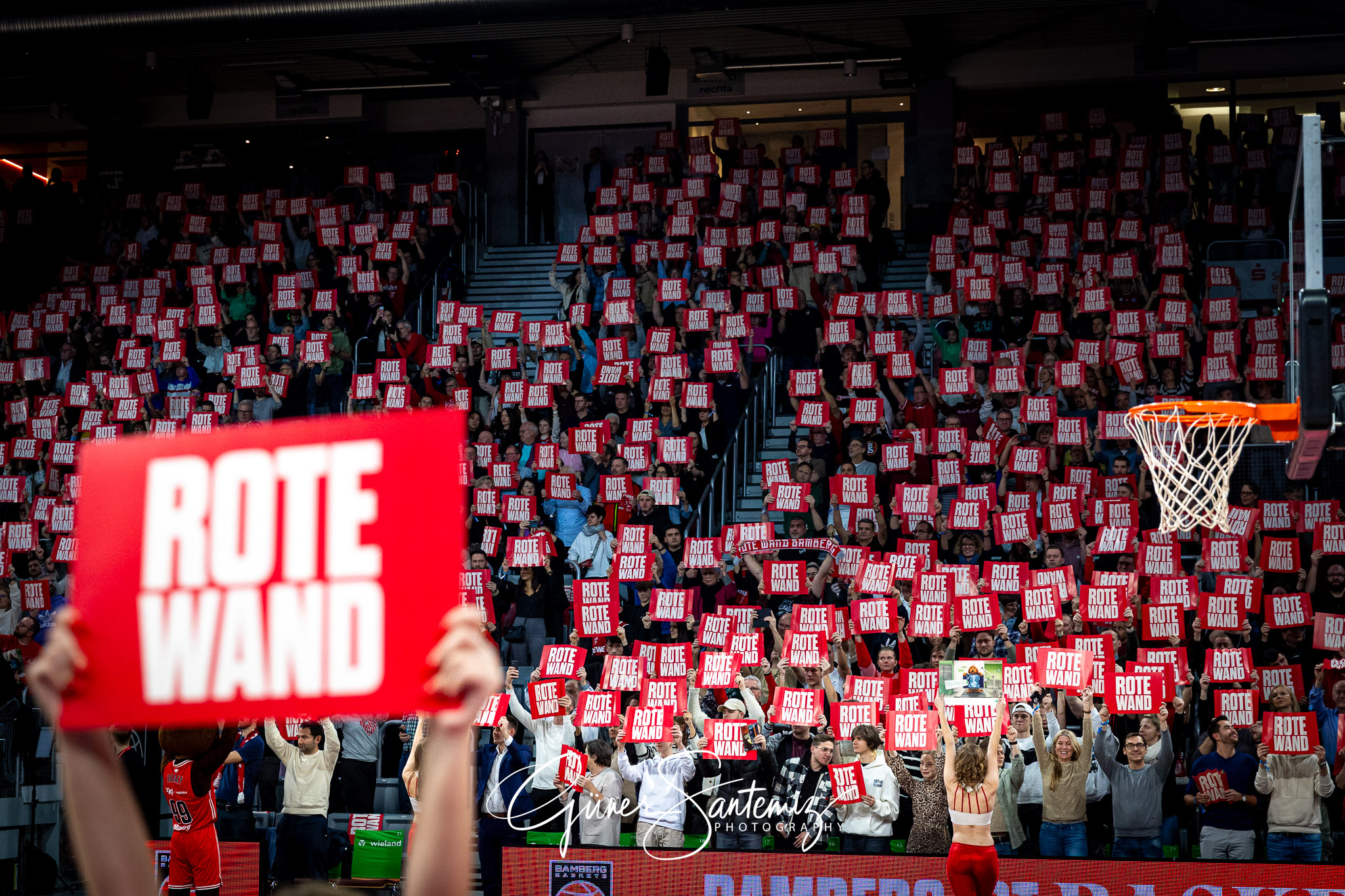 Bamberg Baskets vs. Wuerzburg Baskets - Basketball - easyCredit