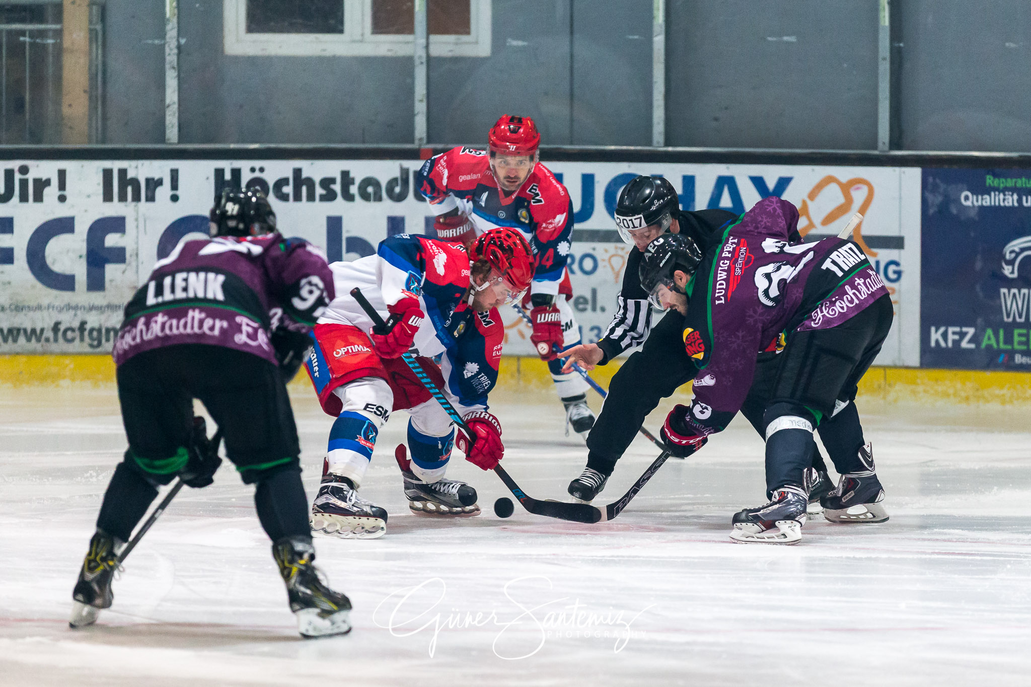 Höchstadt Alligators - Selber Wölfe