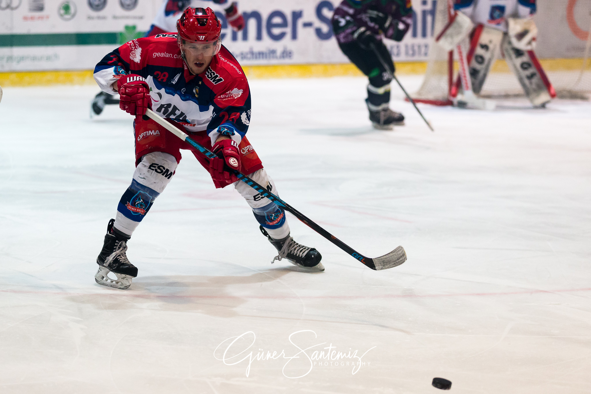 Höchstadt Alligators - Selber Wölfe