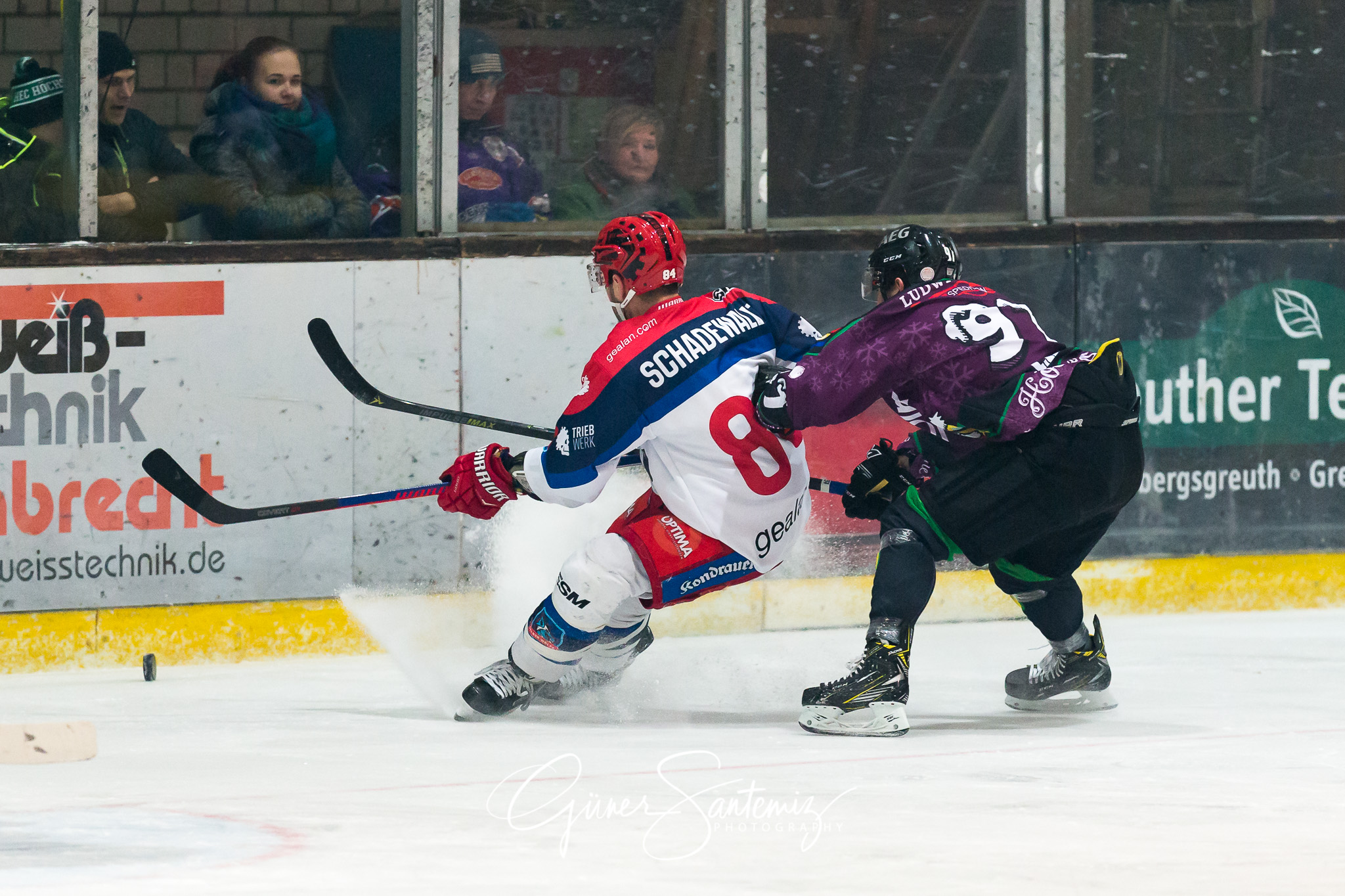 Höchstadt Alligators - Selber Wölfe