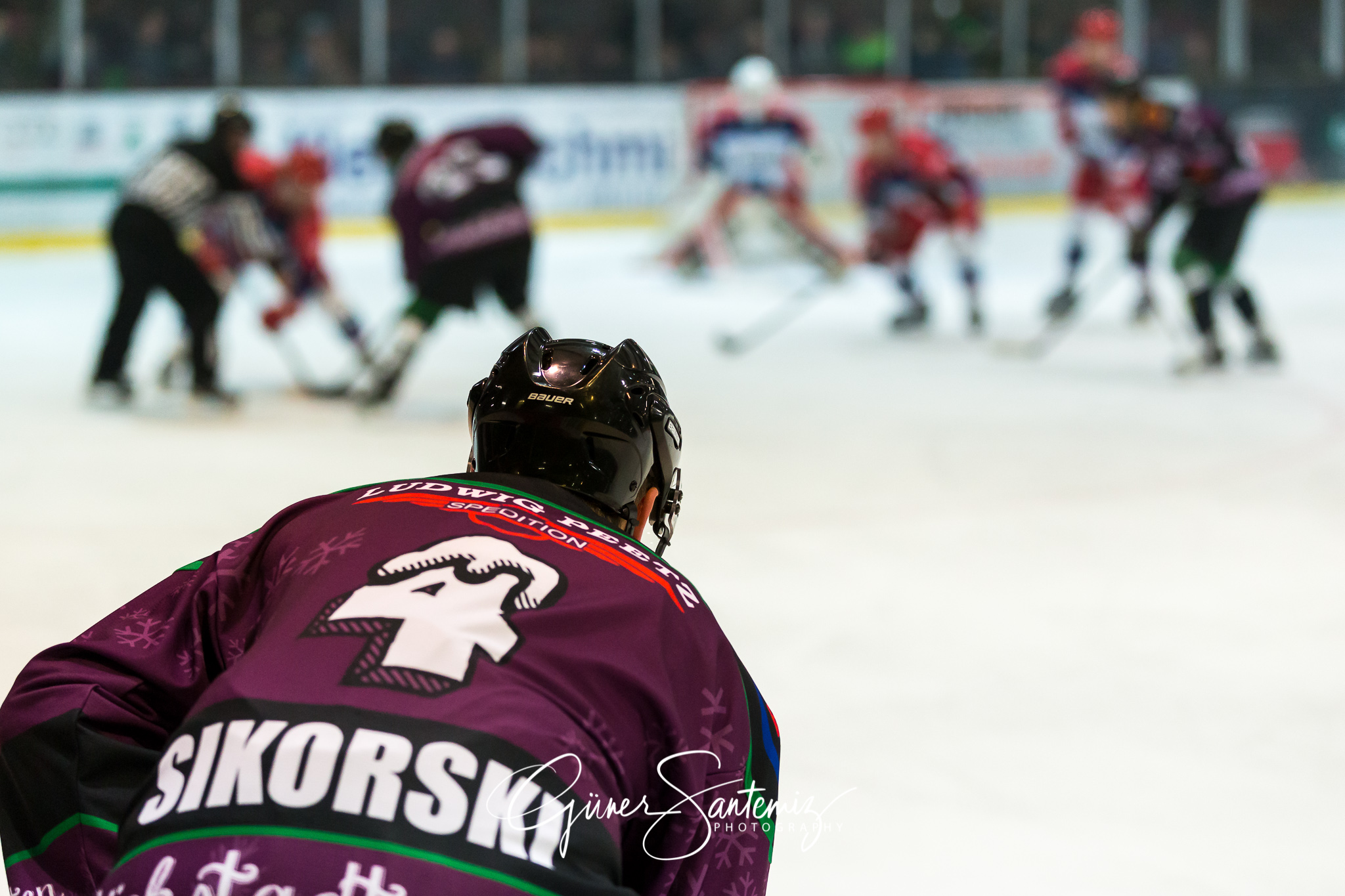 Höchstadt Alligators - Selber Wölfe