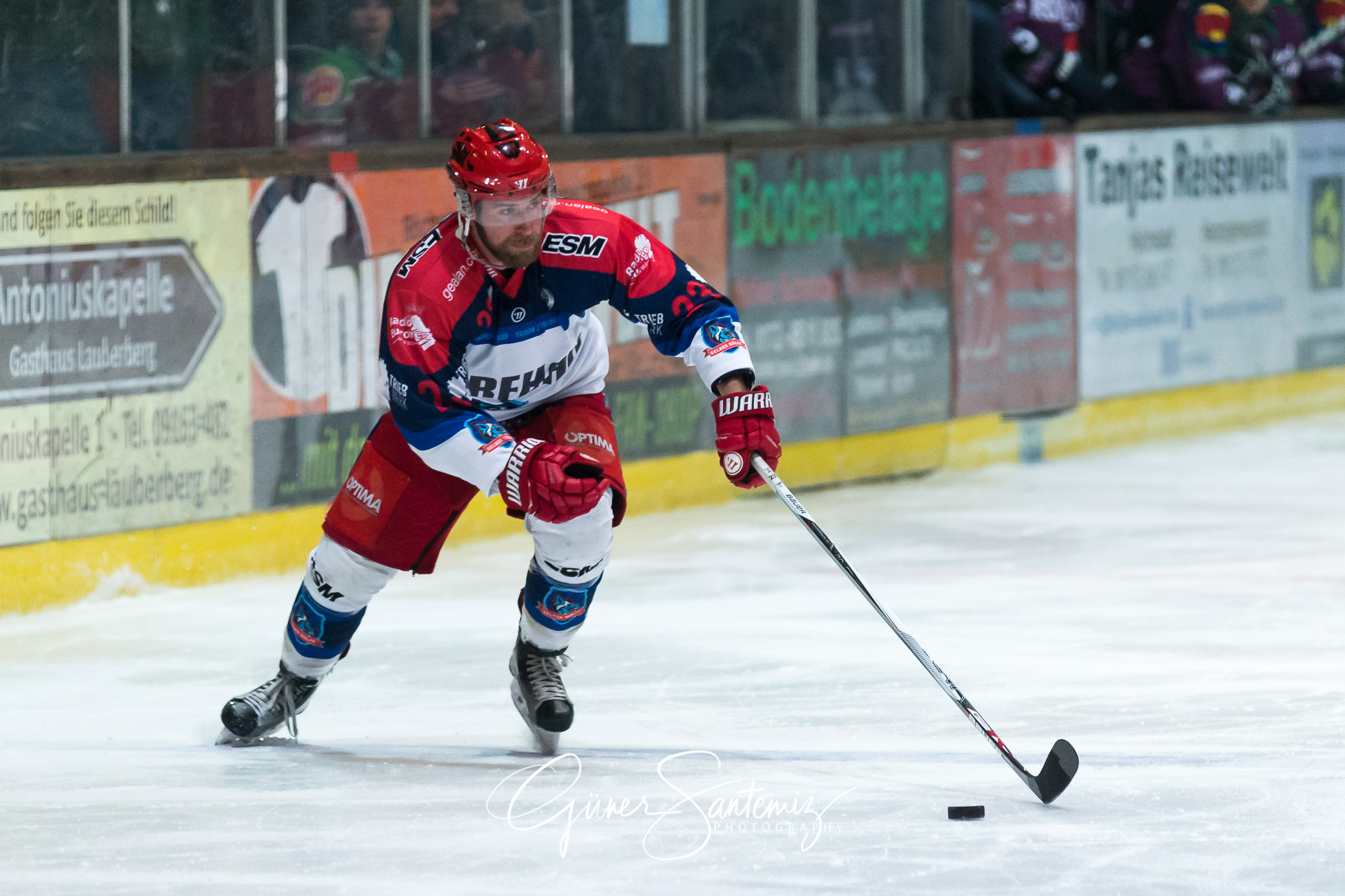 Höchstadt Alligators - Selber Wölfe