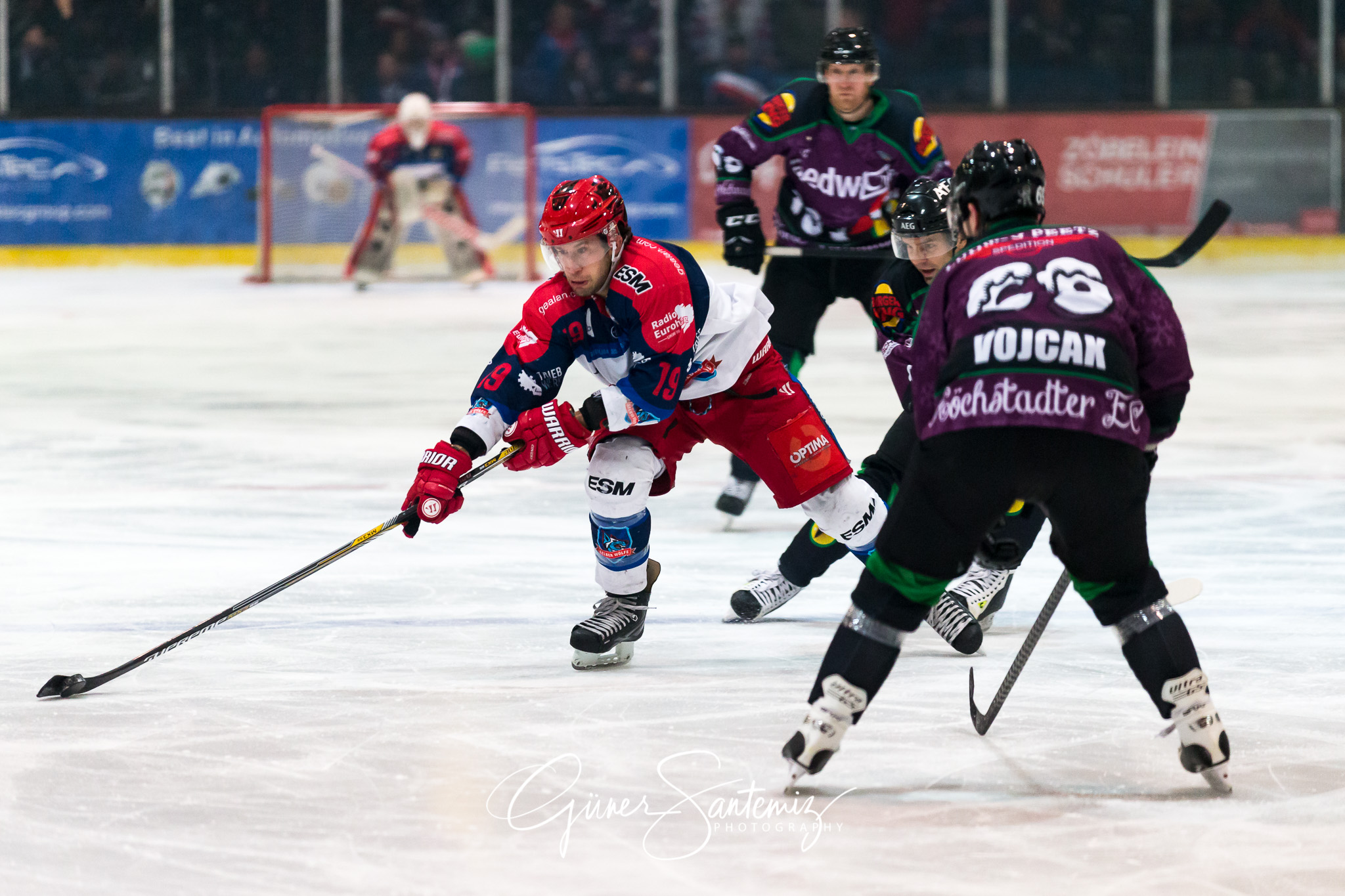 Höchstadt Alligators - Selber Wölfe