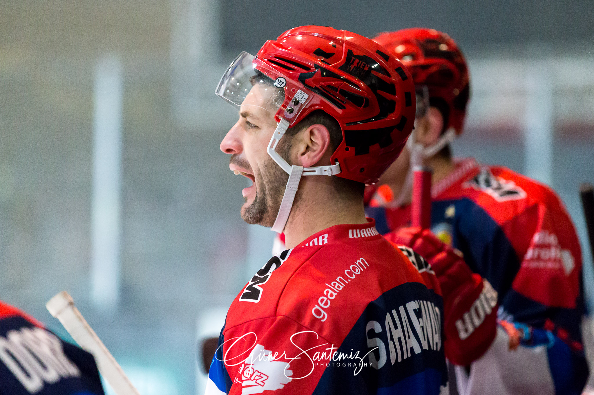 Höchstadt Alligators - Selber Wölfe