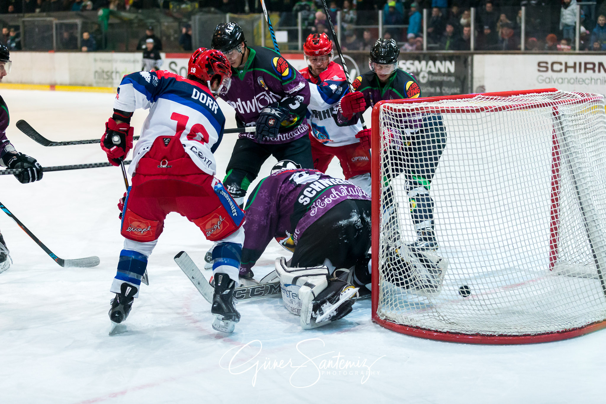 Höchstadt Alligators - Selber Wölfe