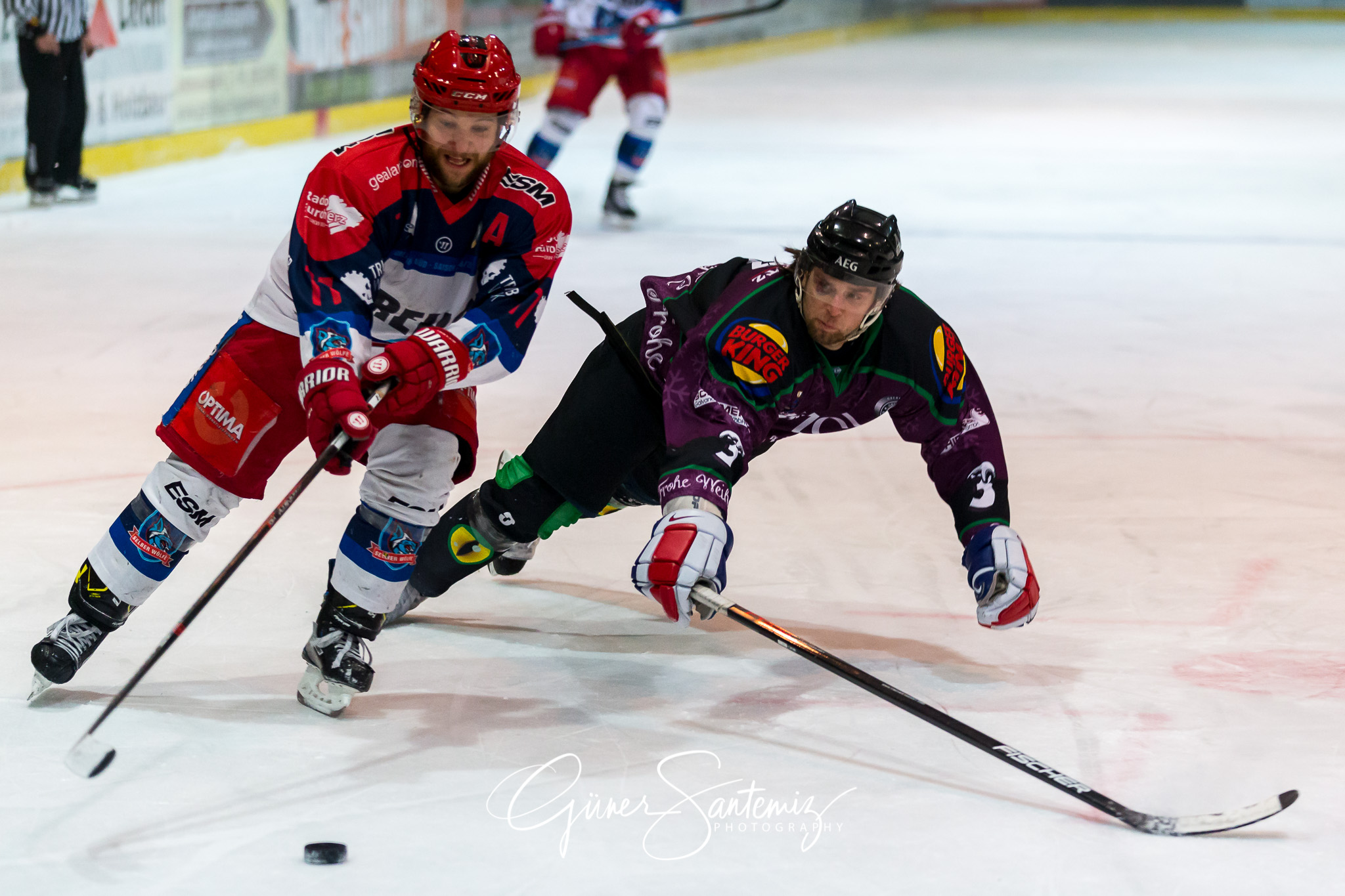 Höchstadt Alligators - Selber Wölfe