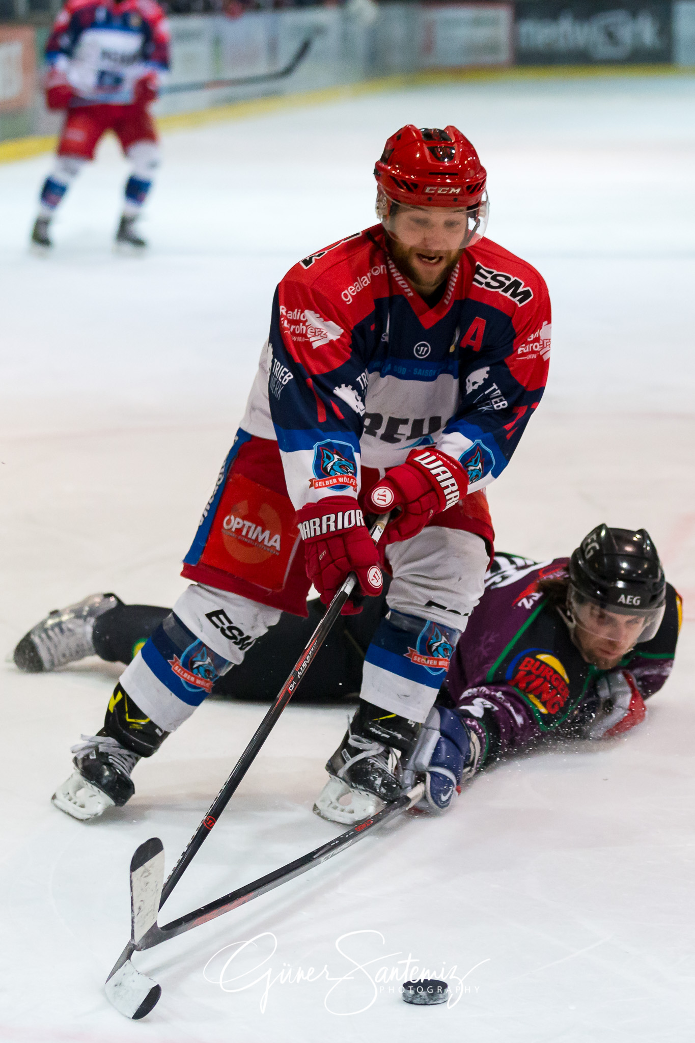 Höchstadt Alligators - Selber Wölfe