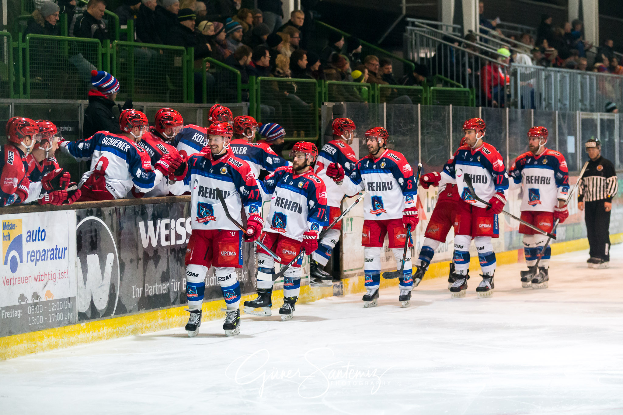 Höchstadt Alligators - Selber Wölfe