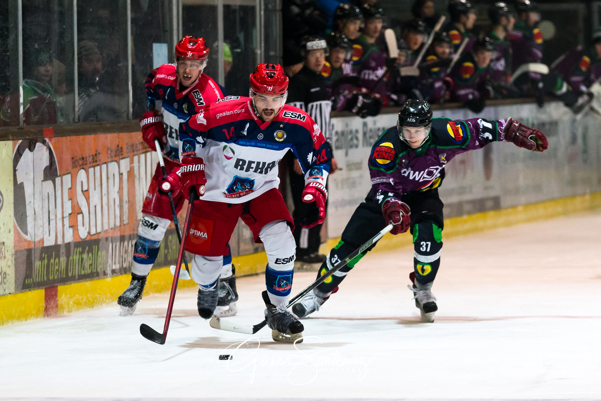 Höchstadt Alligators - Selber Wölfe