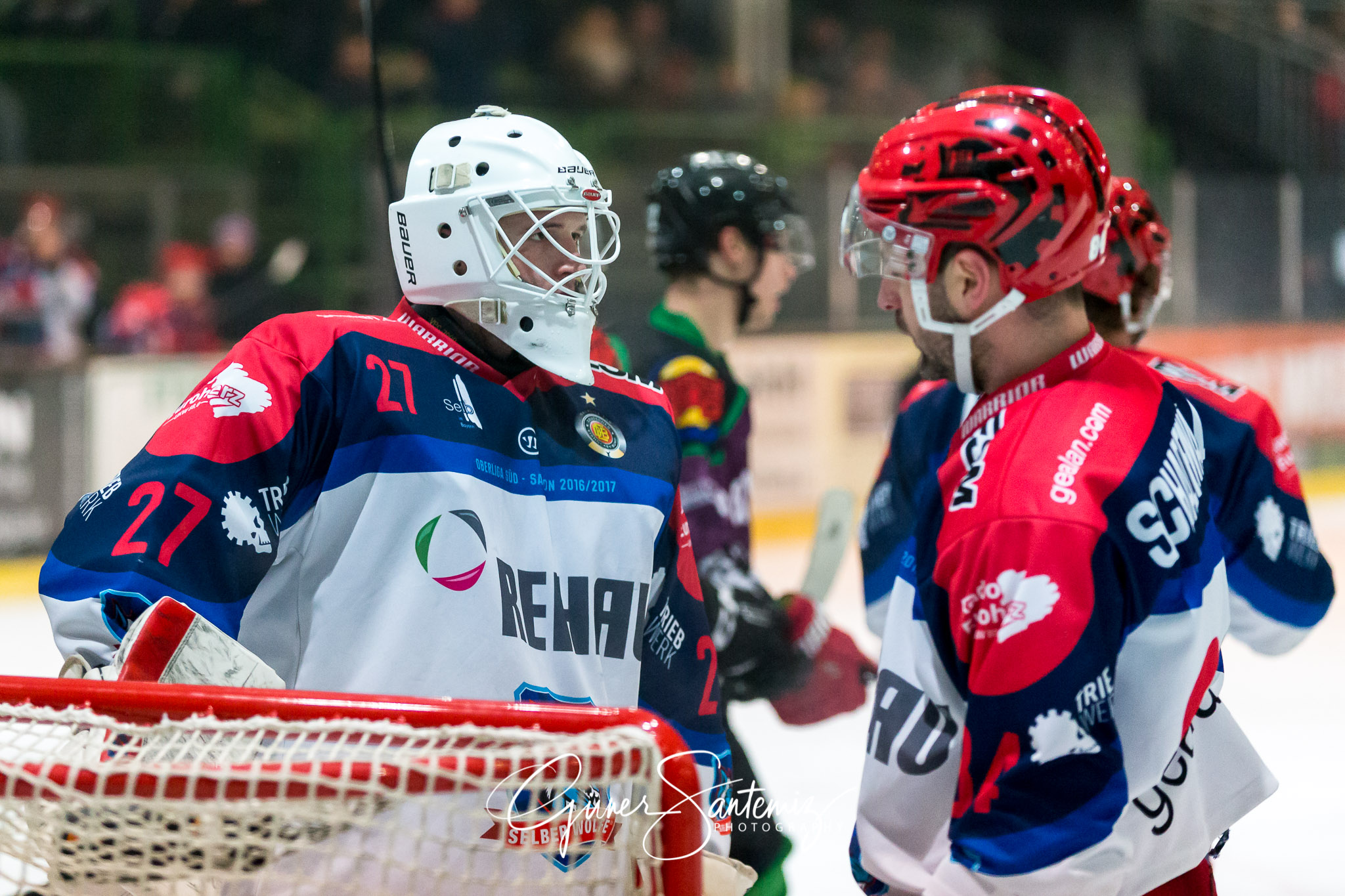 Höchstadt Alligators - Selber Wölfe