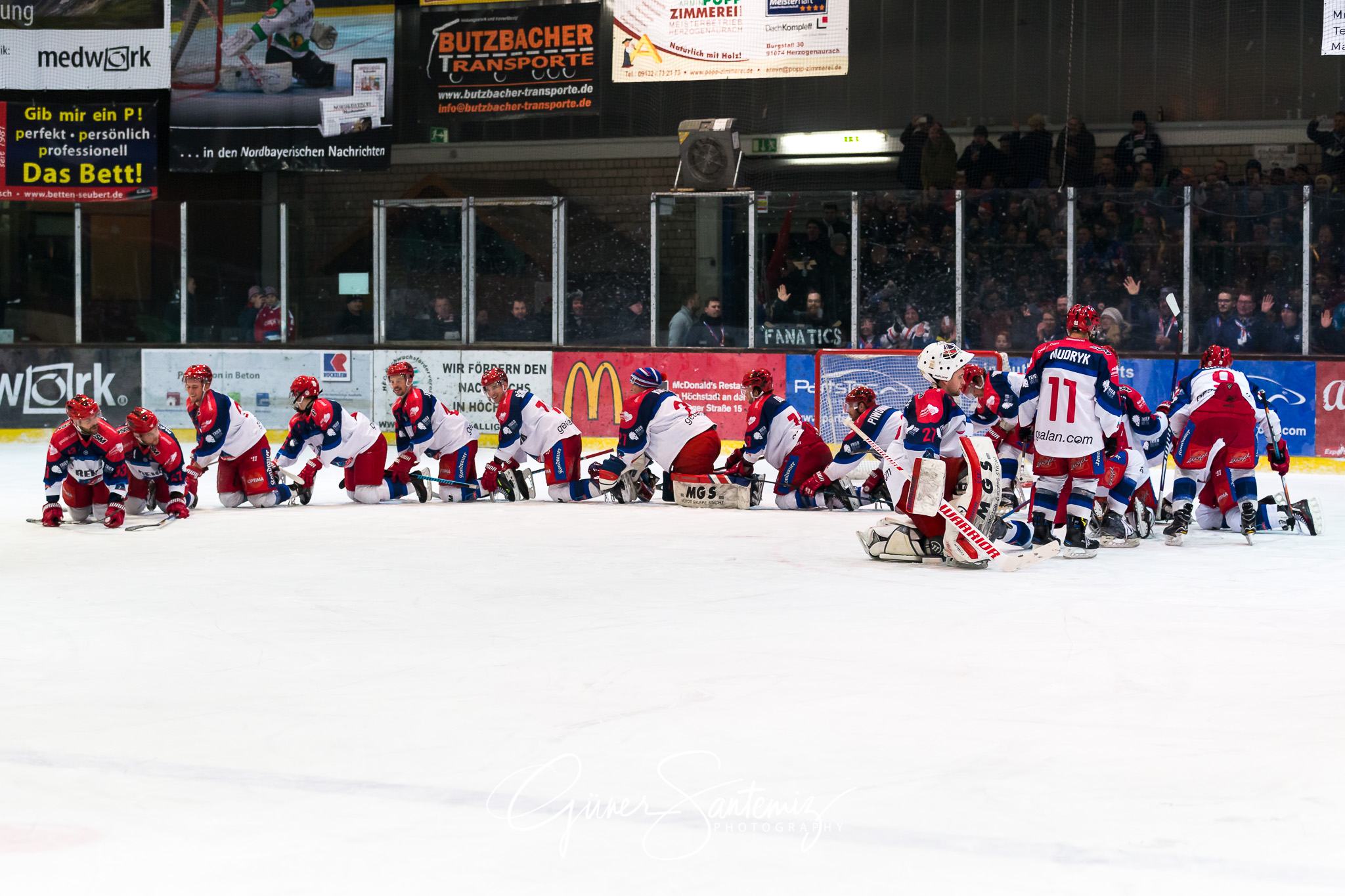 Höchstadt Alligators - Selber Wölfe