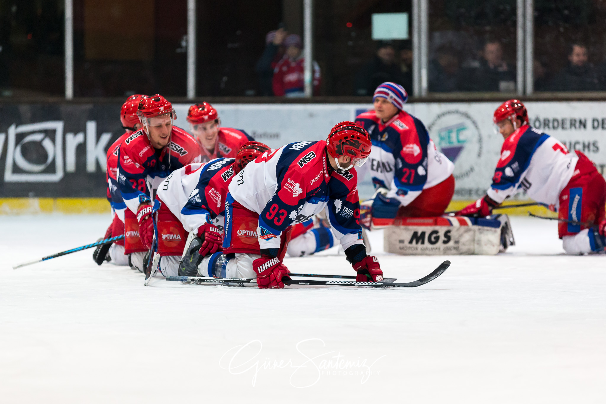 Höchstadt Alligators - Selber Wölfe