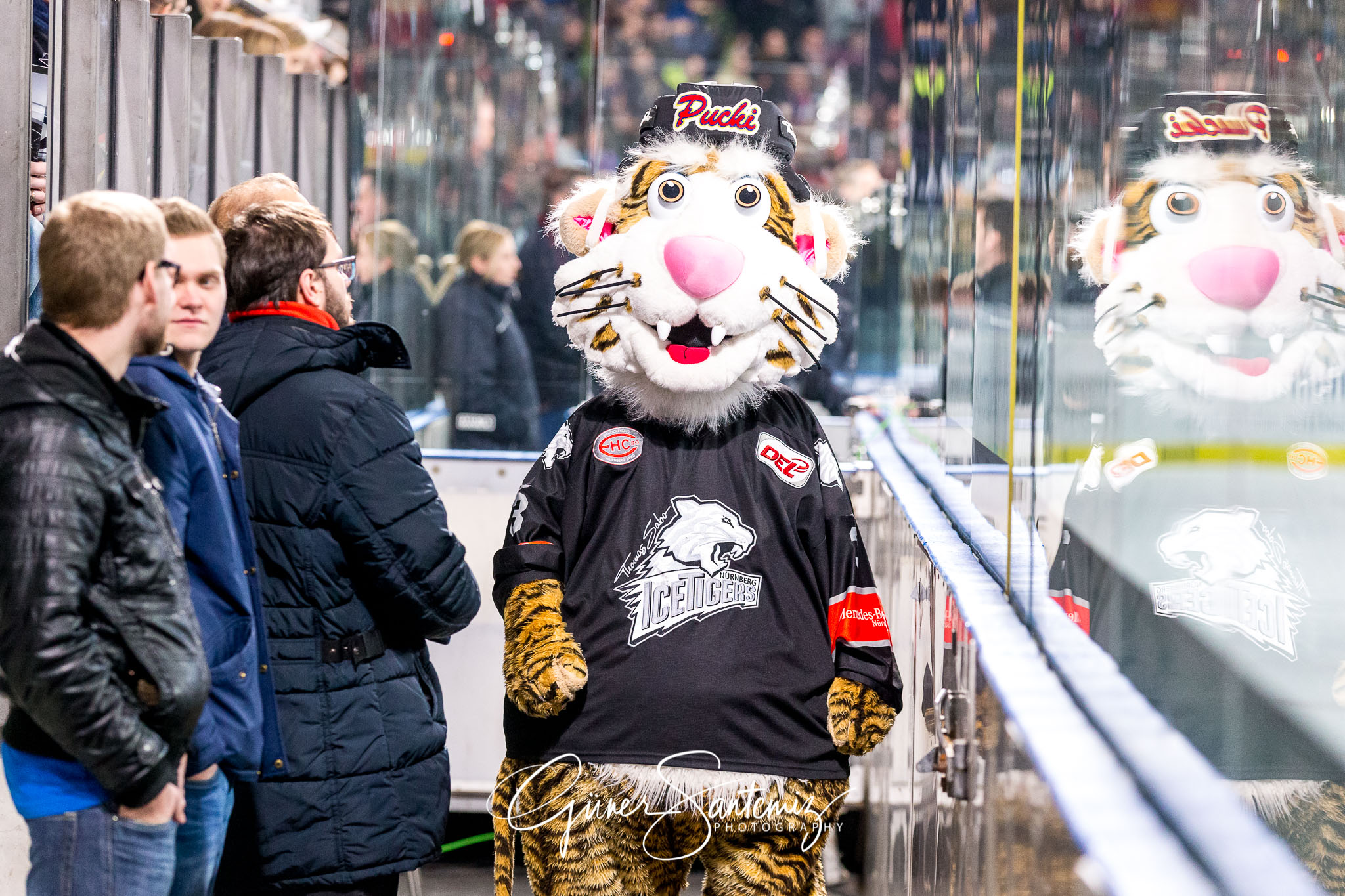 Nuernberg Ice Tigers - Duesseldorfer EG