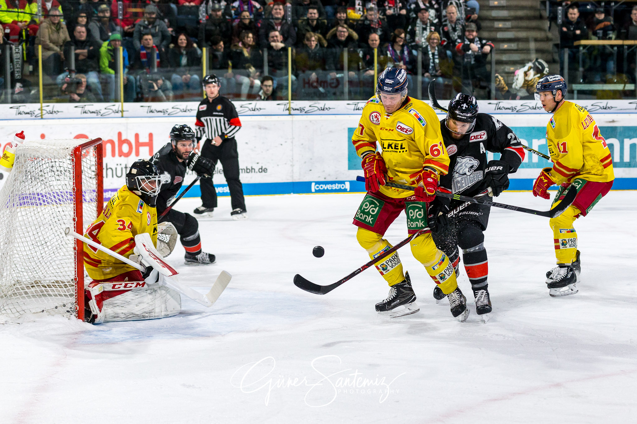 Nuernberg Ice Tigers - Duesseldorfer EG