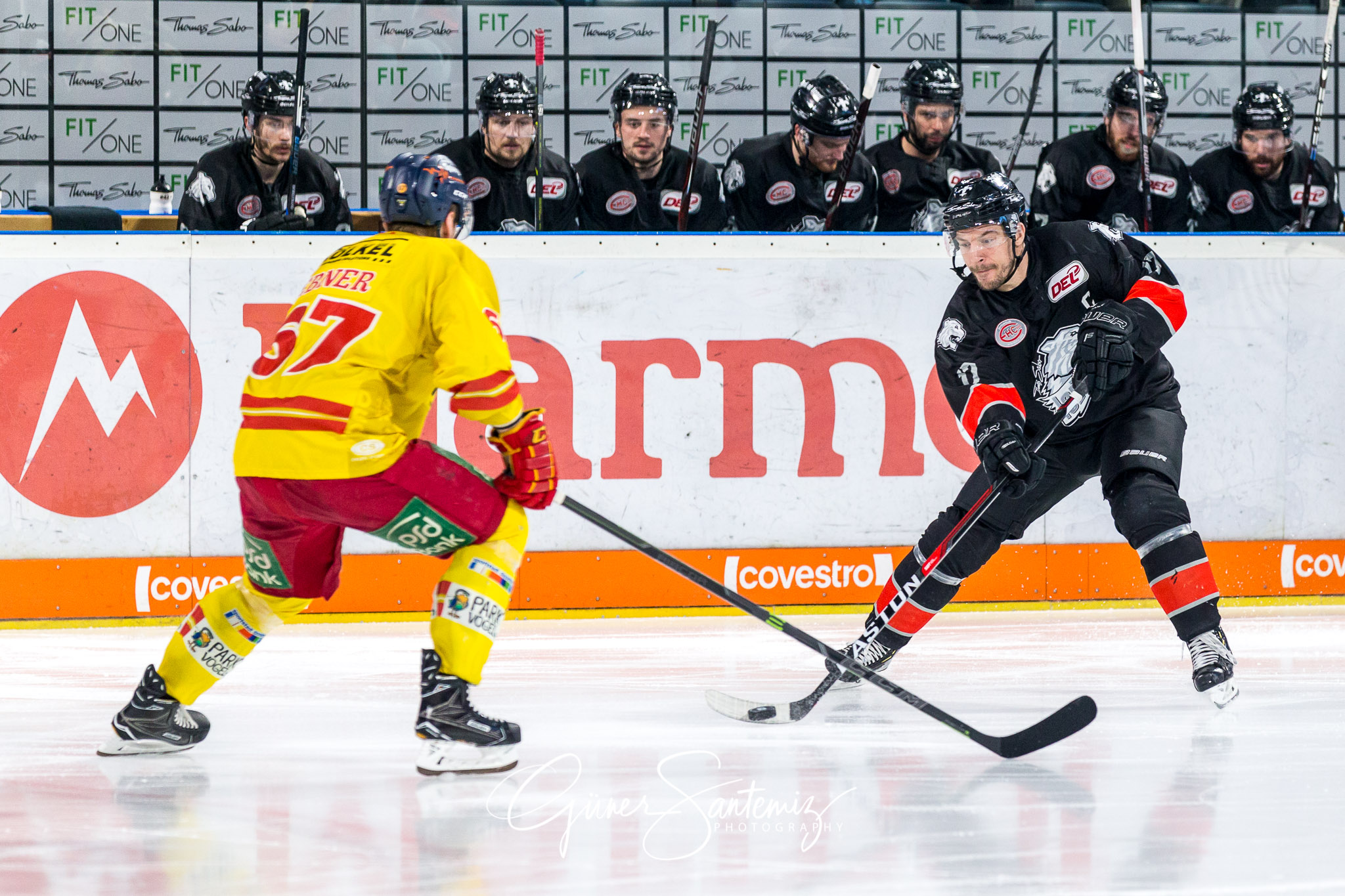 Nuernberg Ice Tigers - Duesseldorfer EG