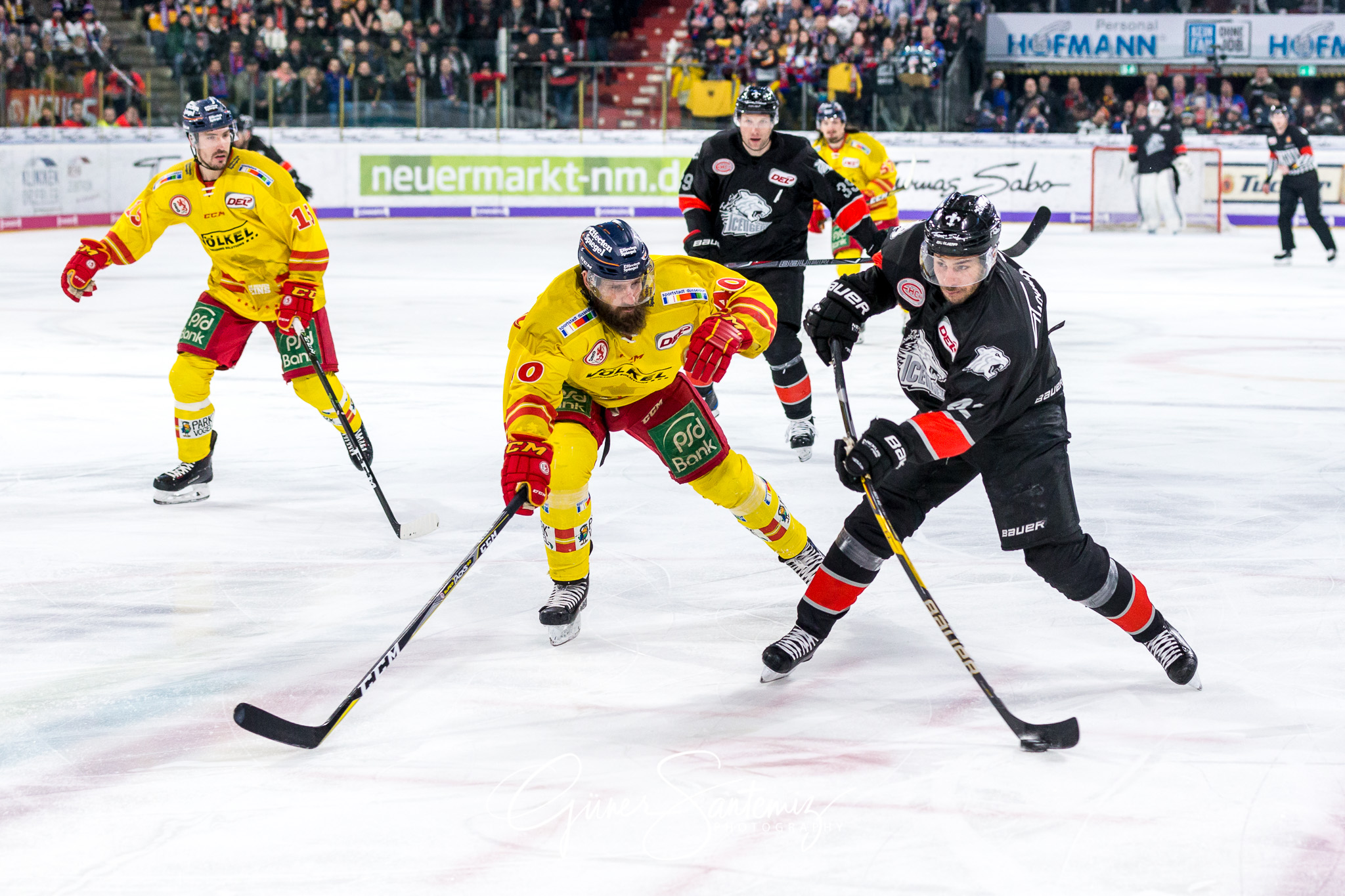 Nuernberg Ice Tigers - Duesseldorfer EG