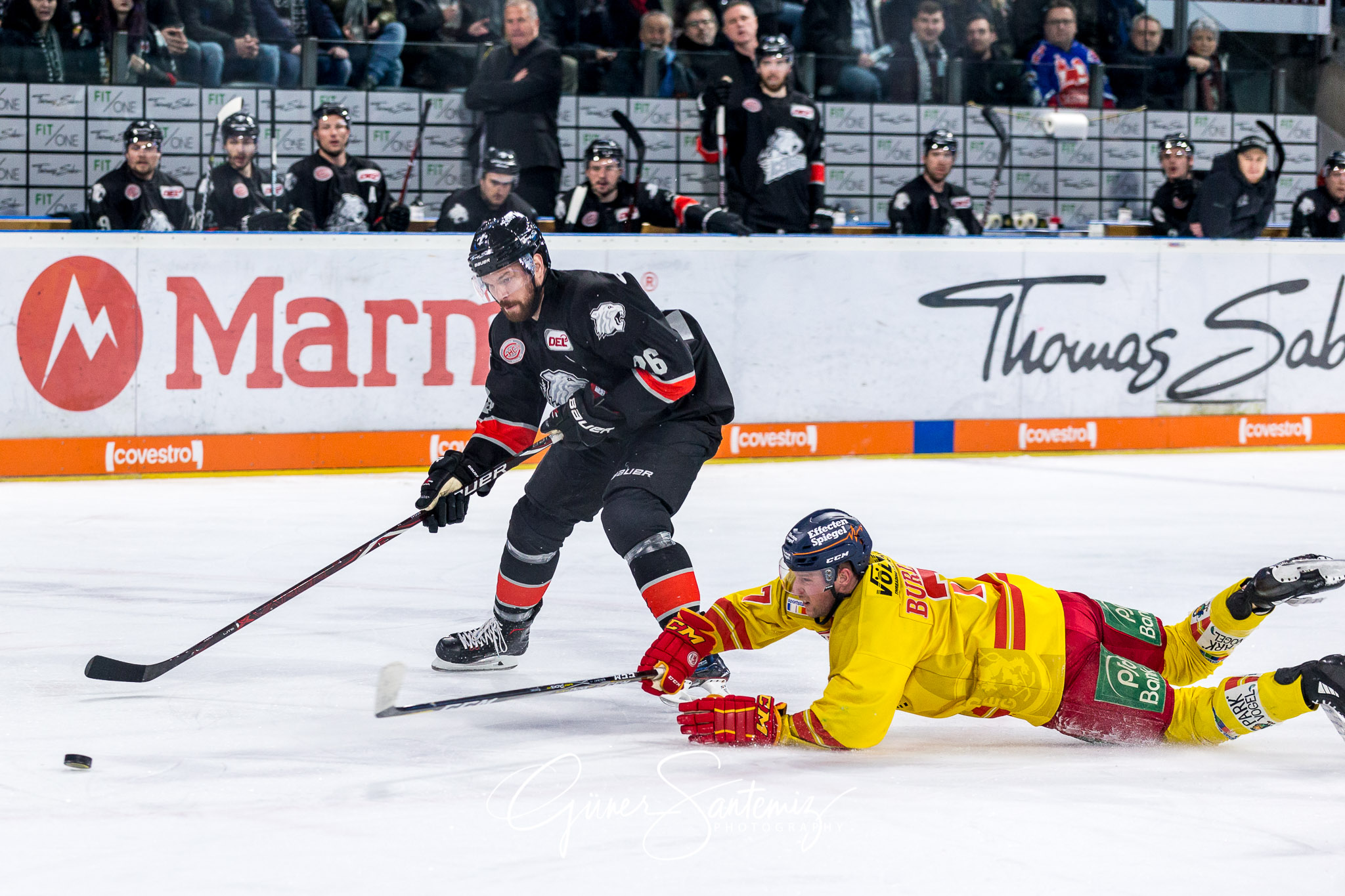 Nuernberg Ice Tigers - Duesseldorfer EG