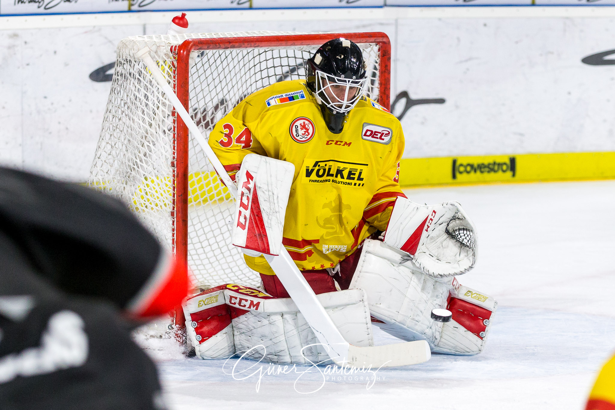 Nuernberg Ice Tigers - Duesseldorfer EG