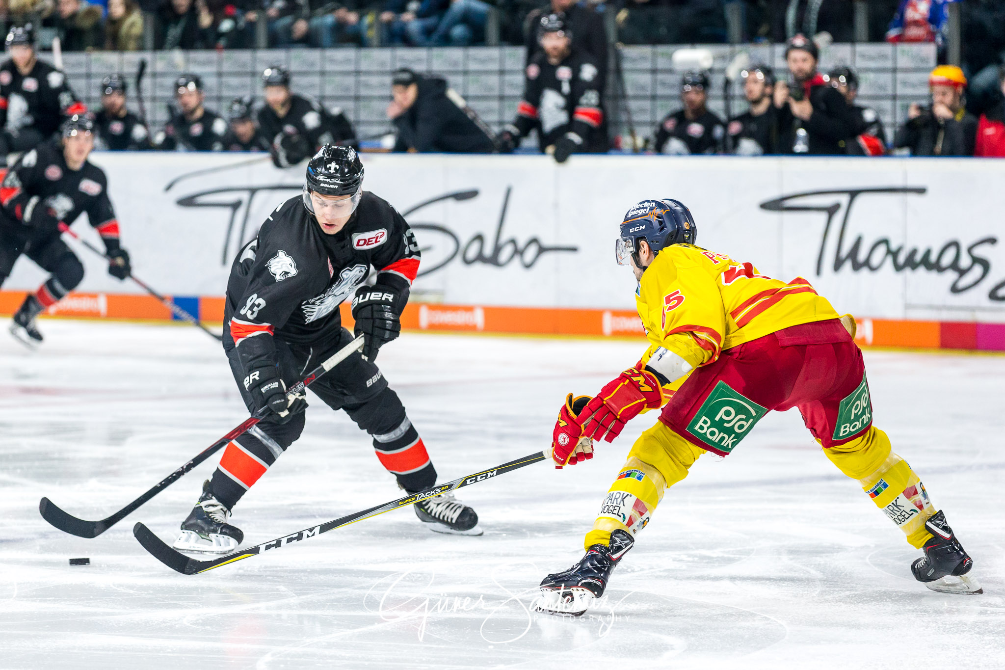 Nuernberg Ice Tigers - Duesseldorfer EG