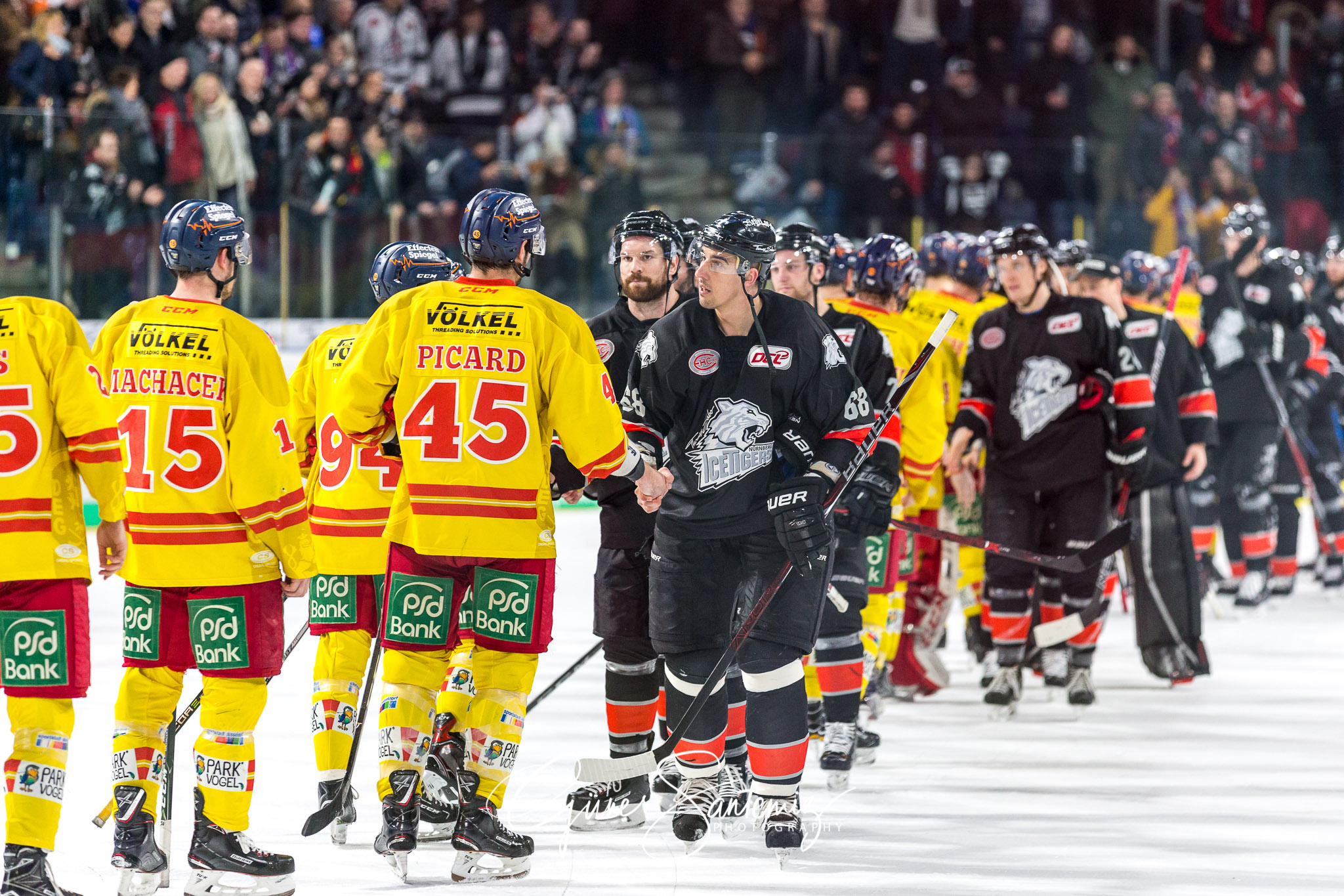 Nuernberg Ice Tigers - Duesseldorfer EG