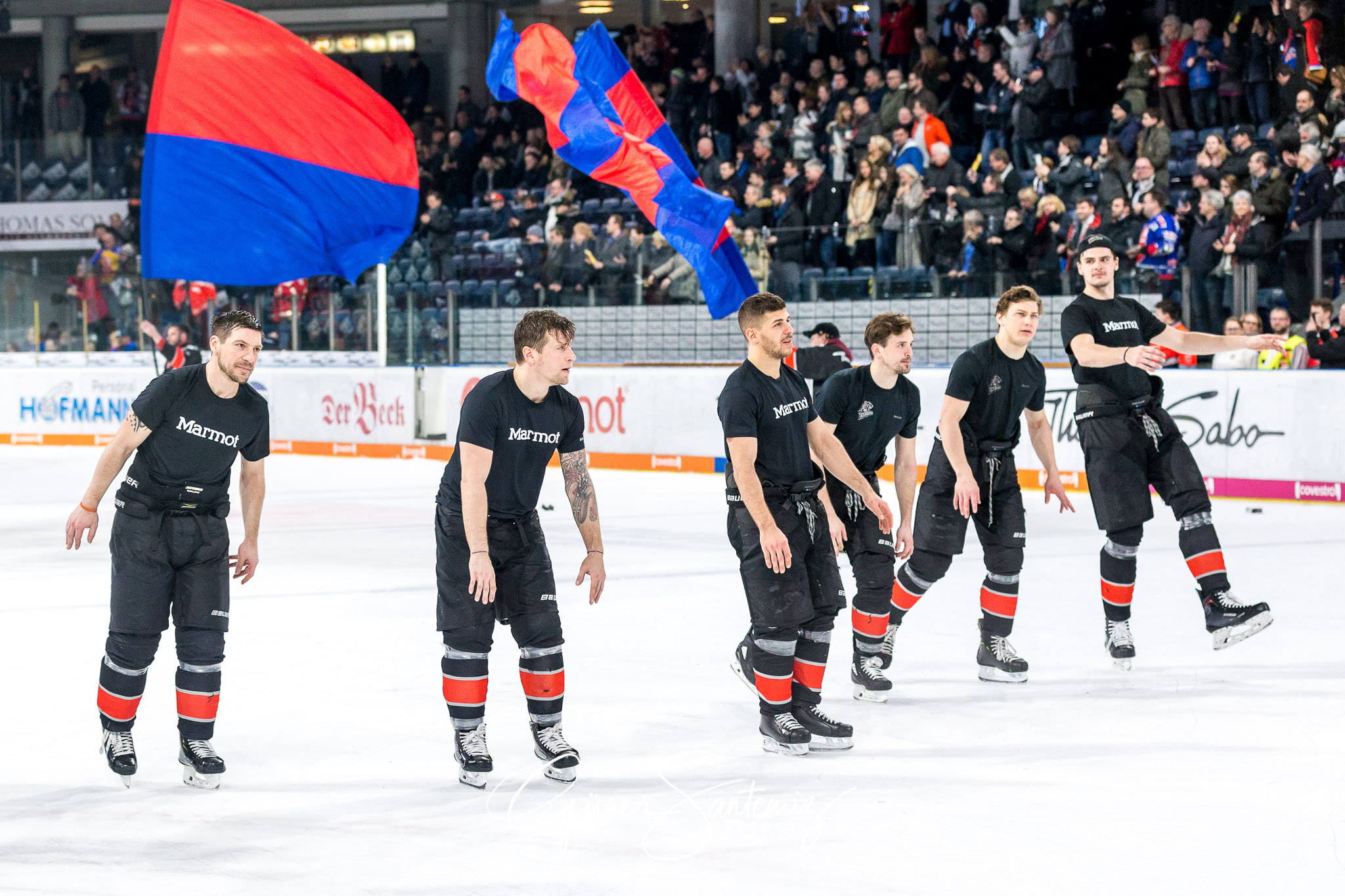 Nuernberg Ice Tigers - Duesseldorfer EG