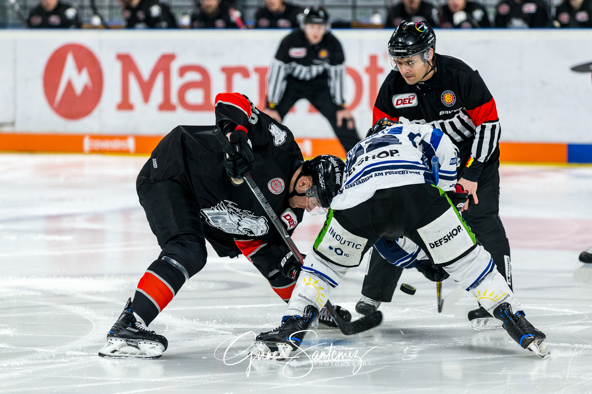 Nuernberg Ice Tigers - Straubing Tigers