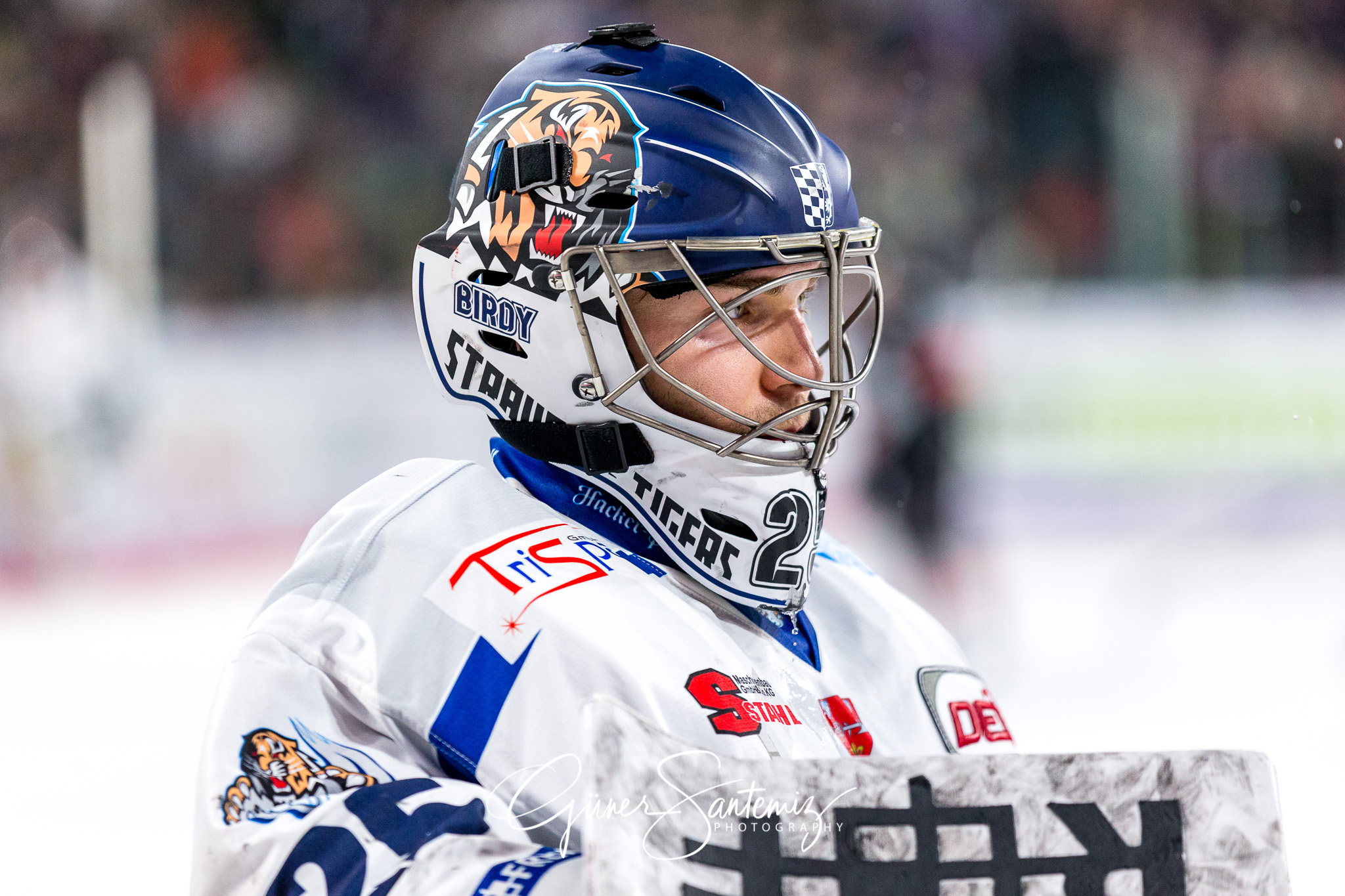 Nuernberg Ice Tigers - Straubing Tigers