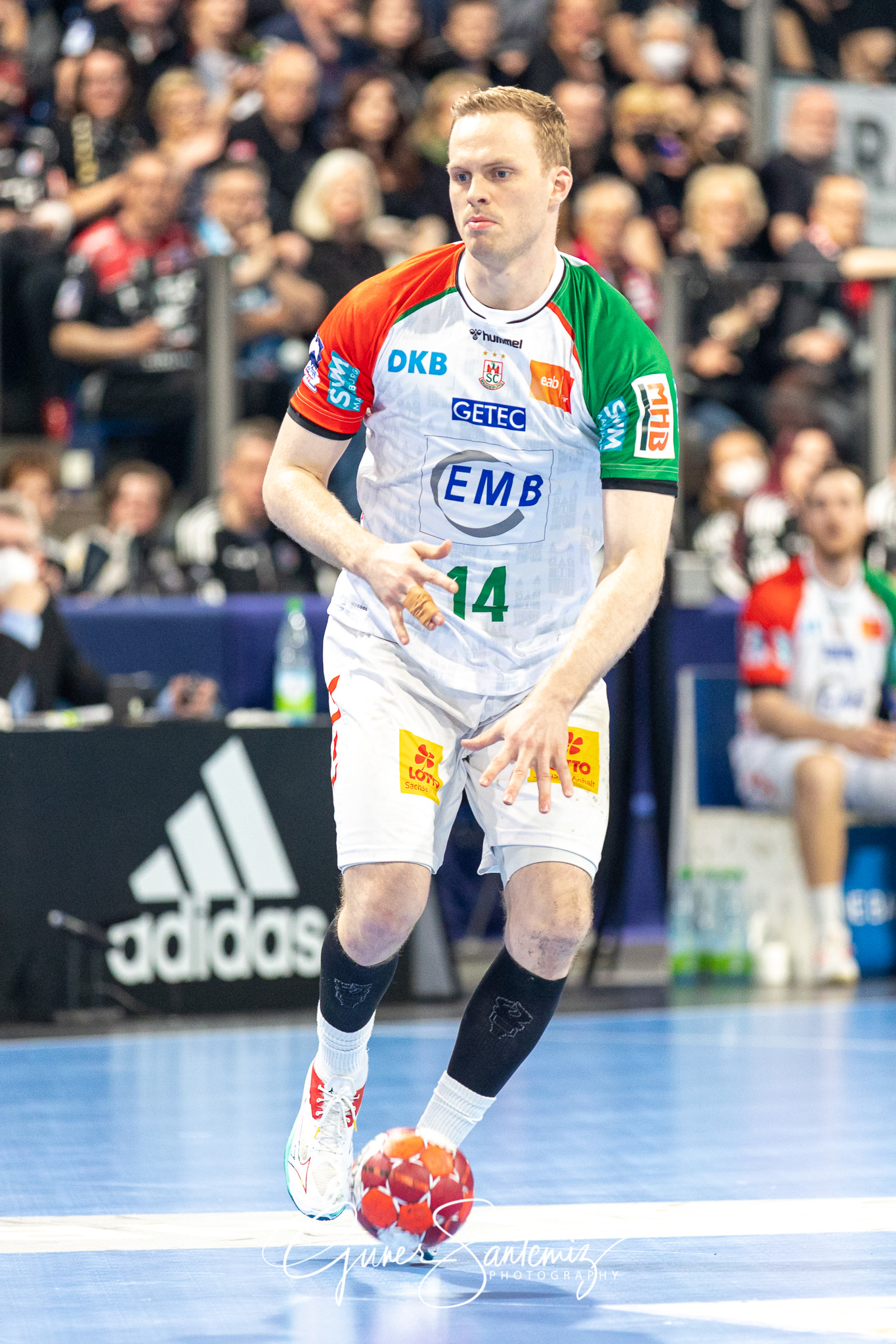 HC Erlangen vs. SC Magdeburg - Handball - Bundesliga - 29. Spiel