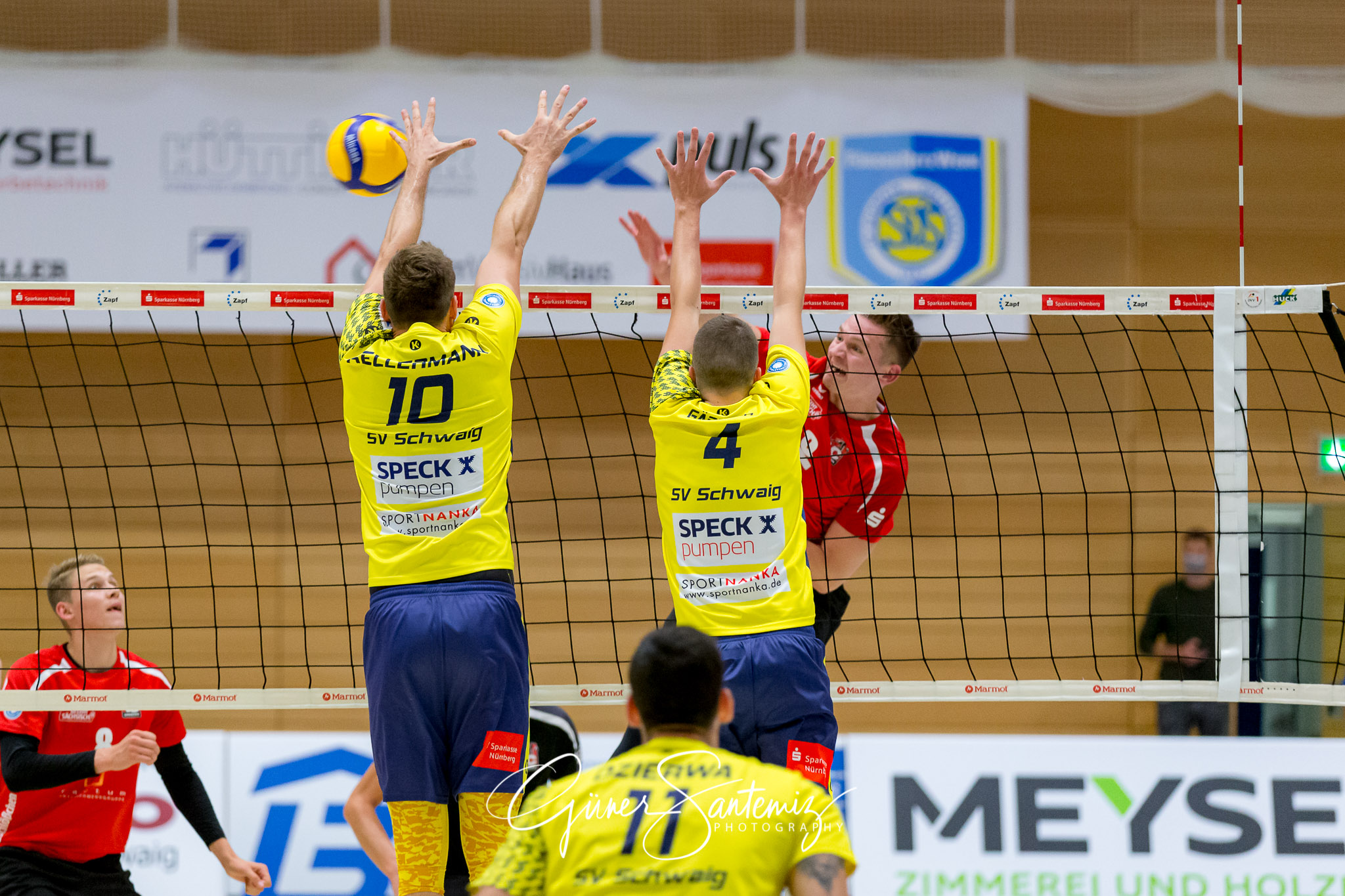 SV Schwaig - Dentalservice Gust VC Dresden
