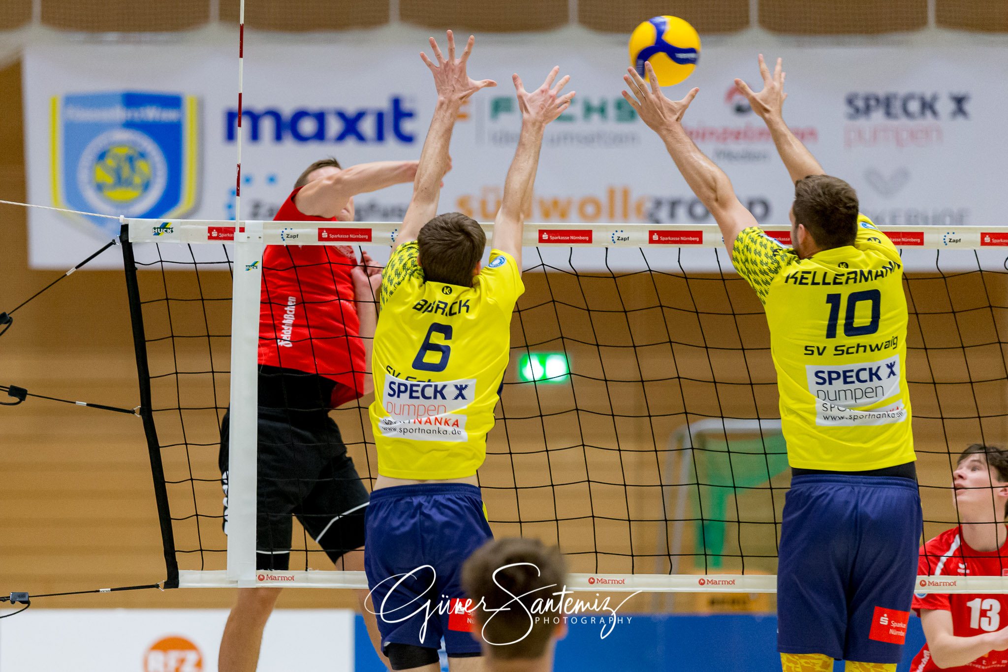 SV Schwaig - Dentalservice Gust VC Dresden