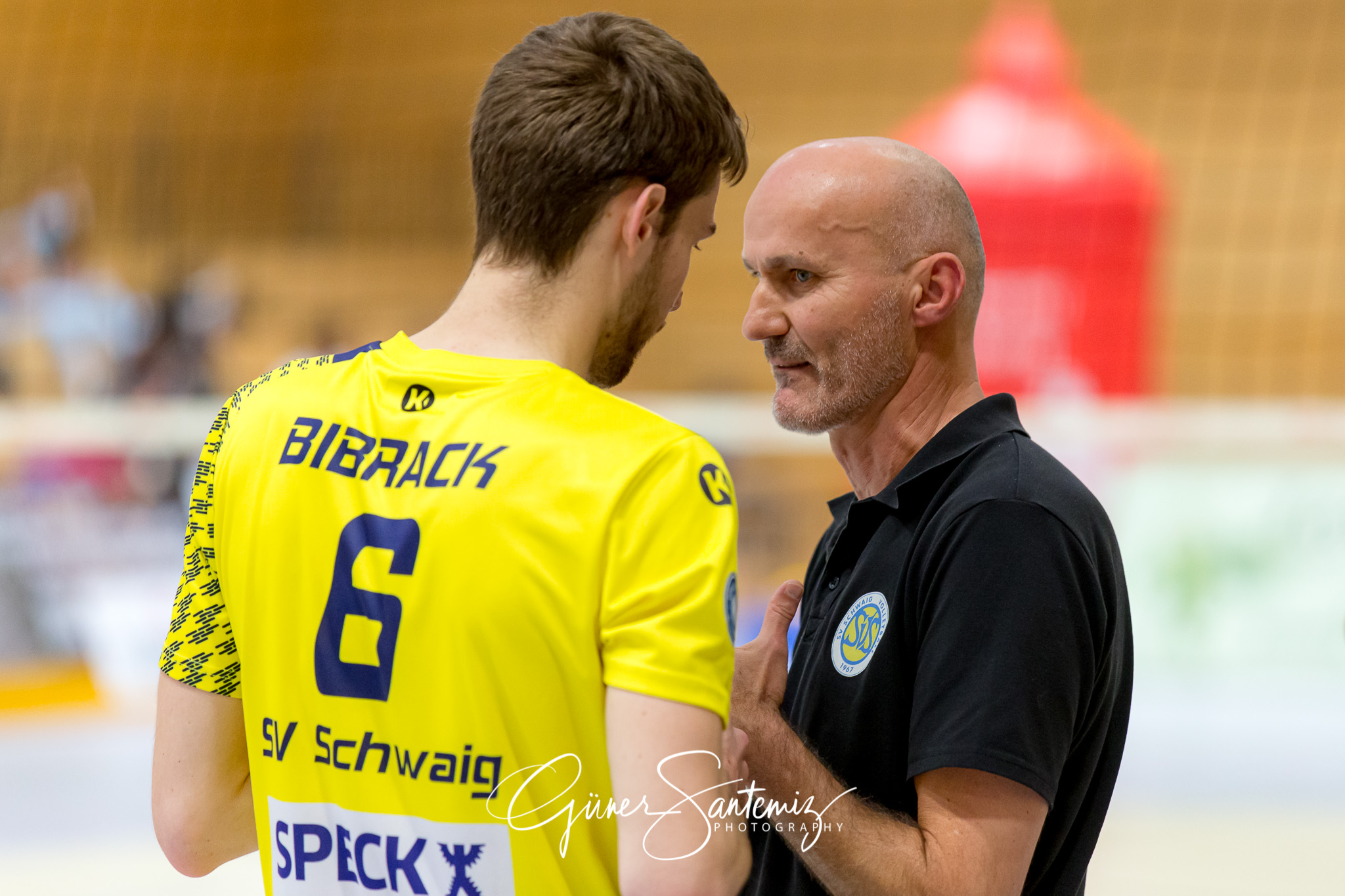 SV Schwaig - Dentalservice Gust VC Dresden
