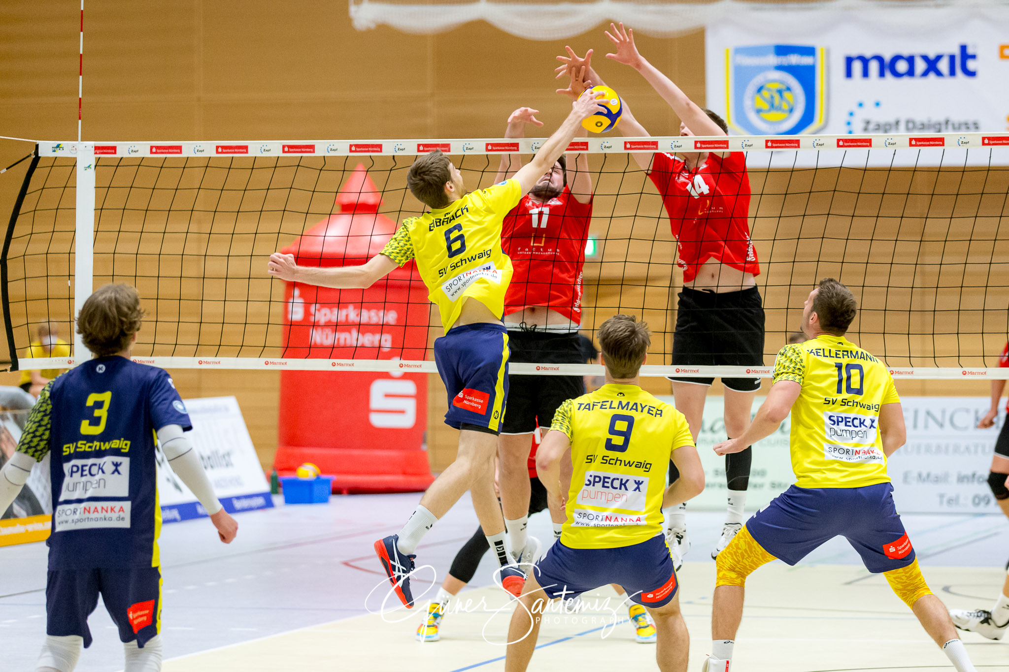 SV Schwaig - Dentalservice Gust VC Dresden