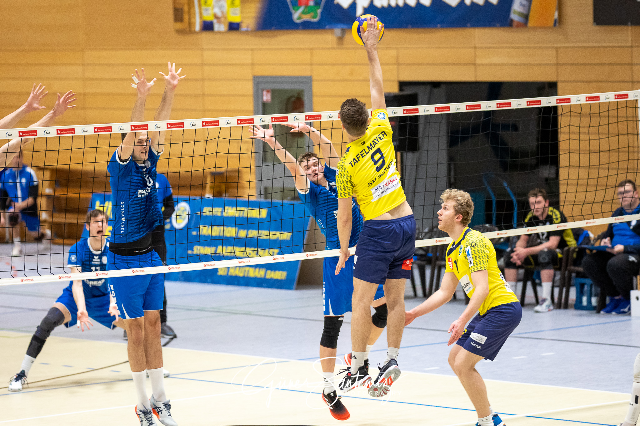 SV Schwaig vs. Blue Volleys Gotha - Volleyball - 2. Bundesliga -