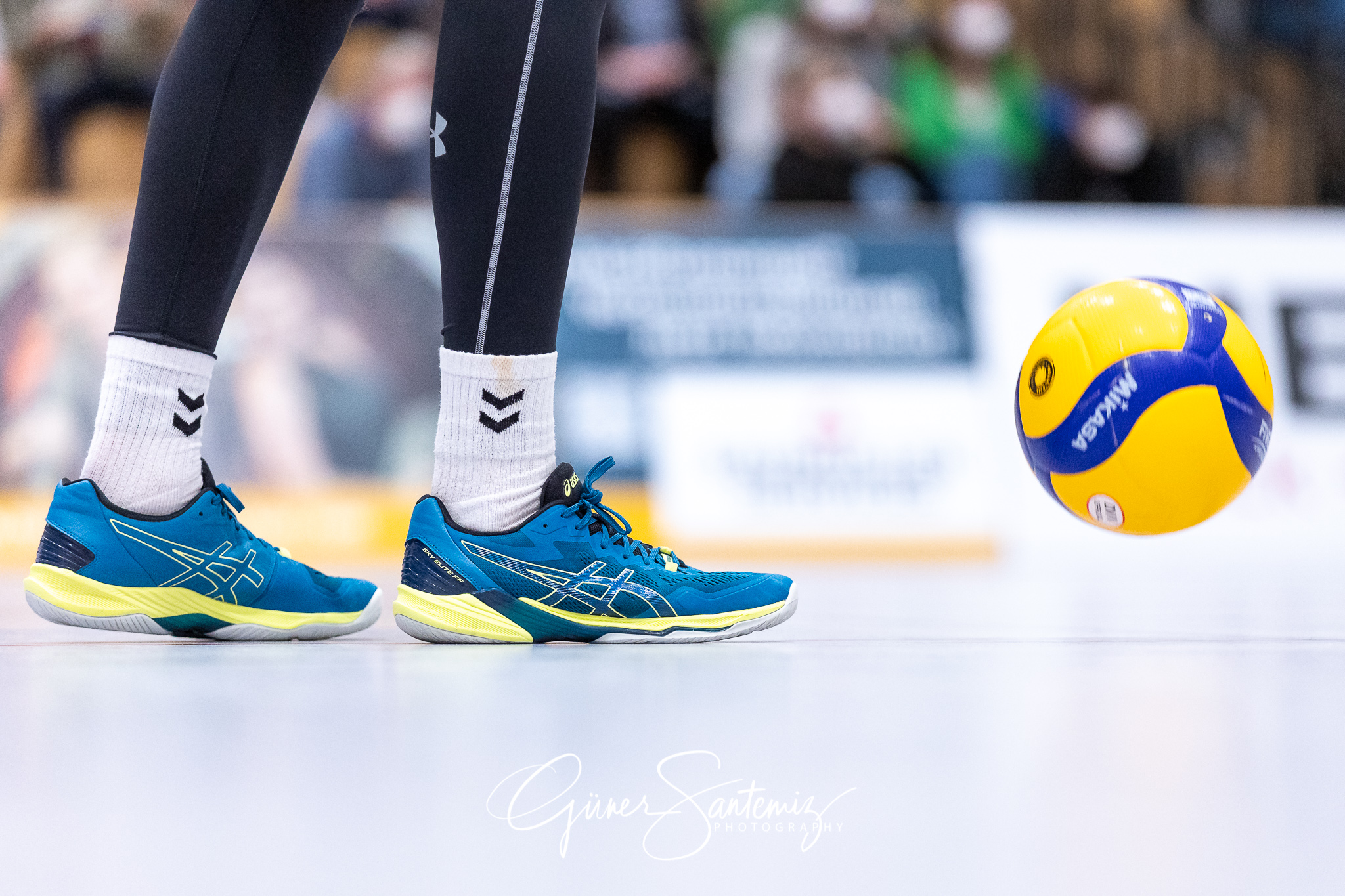 SV Schwaig vs. TSV Grafing - Volleyball - 2. Bundesliga - 17. Sp