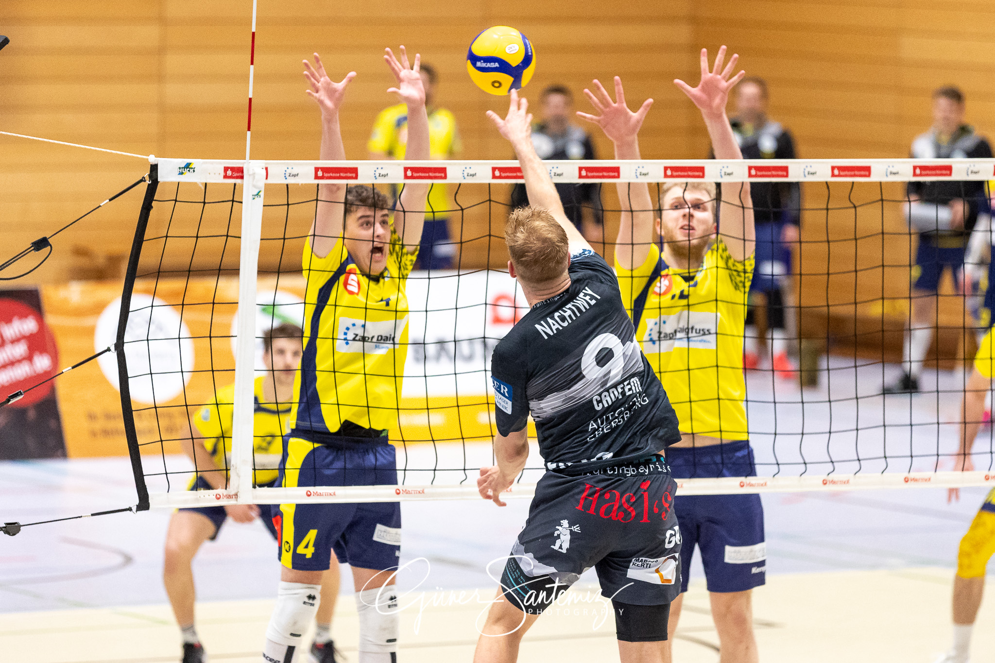 SV Schwaig vs. TSV Grafing - Volleyball - 2. Bundesliga - 17. Sp