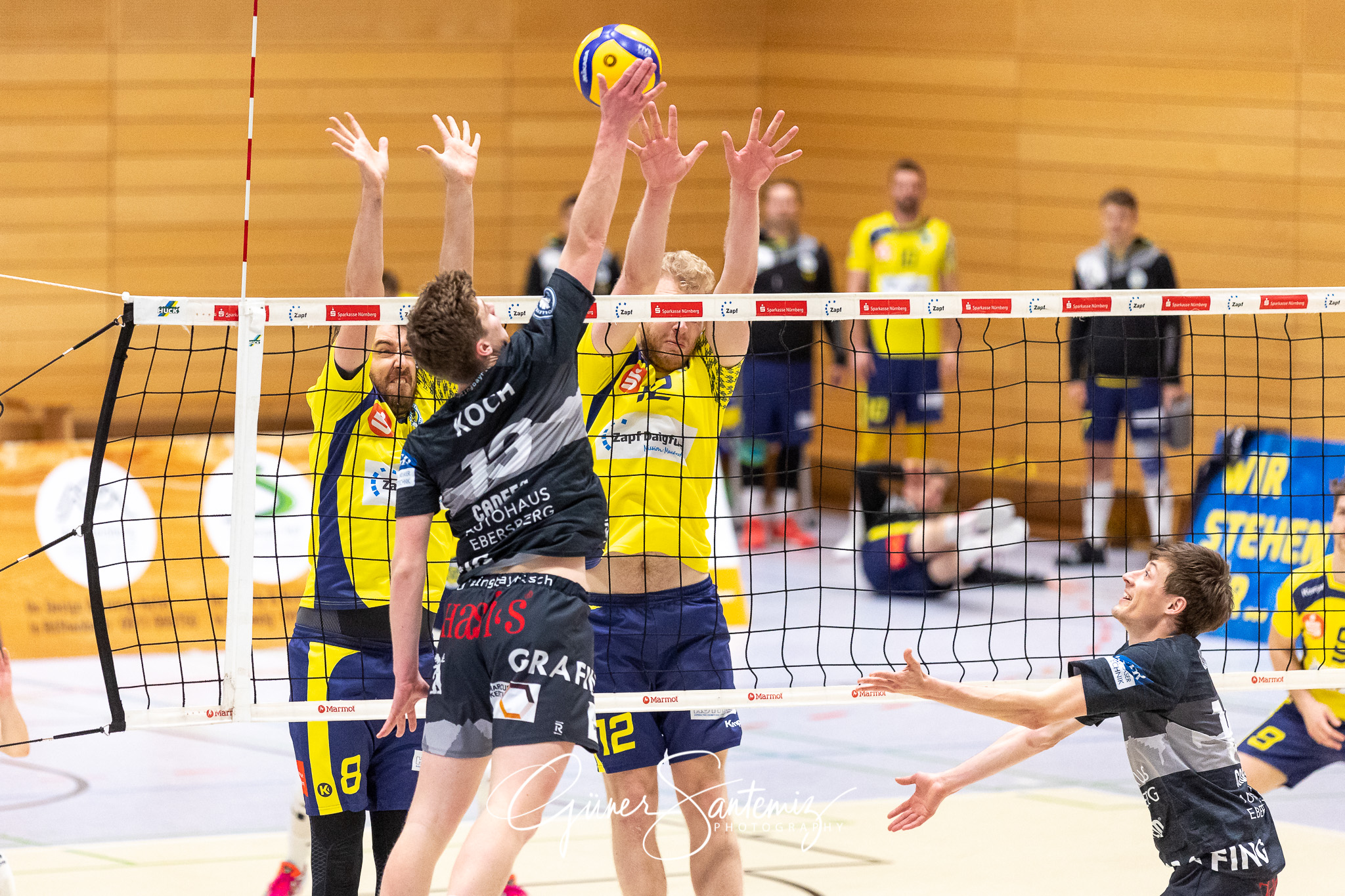 SV Schwaig vs. TSV Grafing - Volleyball - 2. Bundesliga - 17. Sp