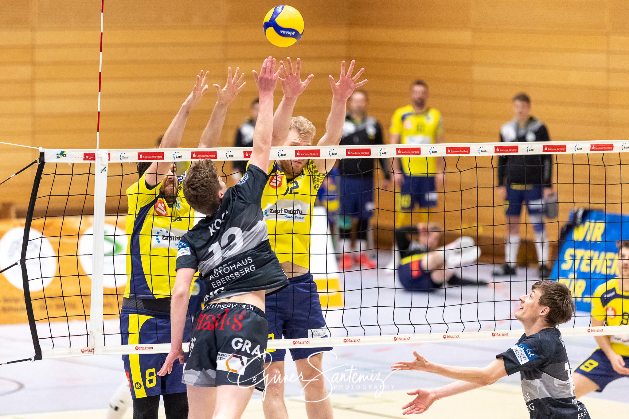 SV Schwaig vs. TSV Grafing - Volleyball - 2. Bundesliga - 17. Sp