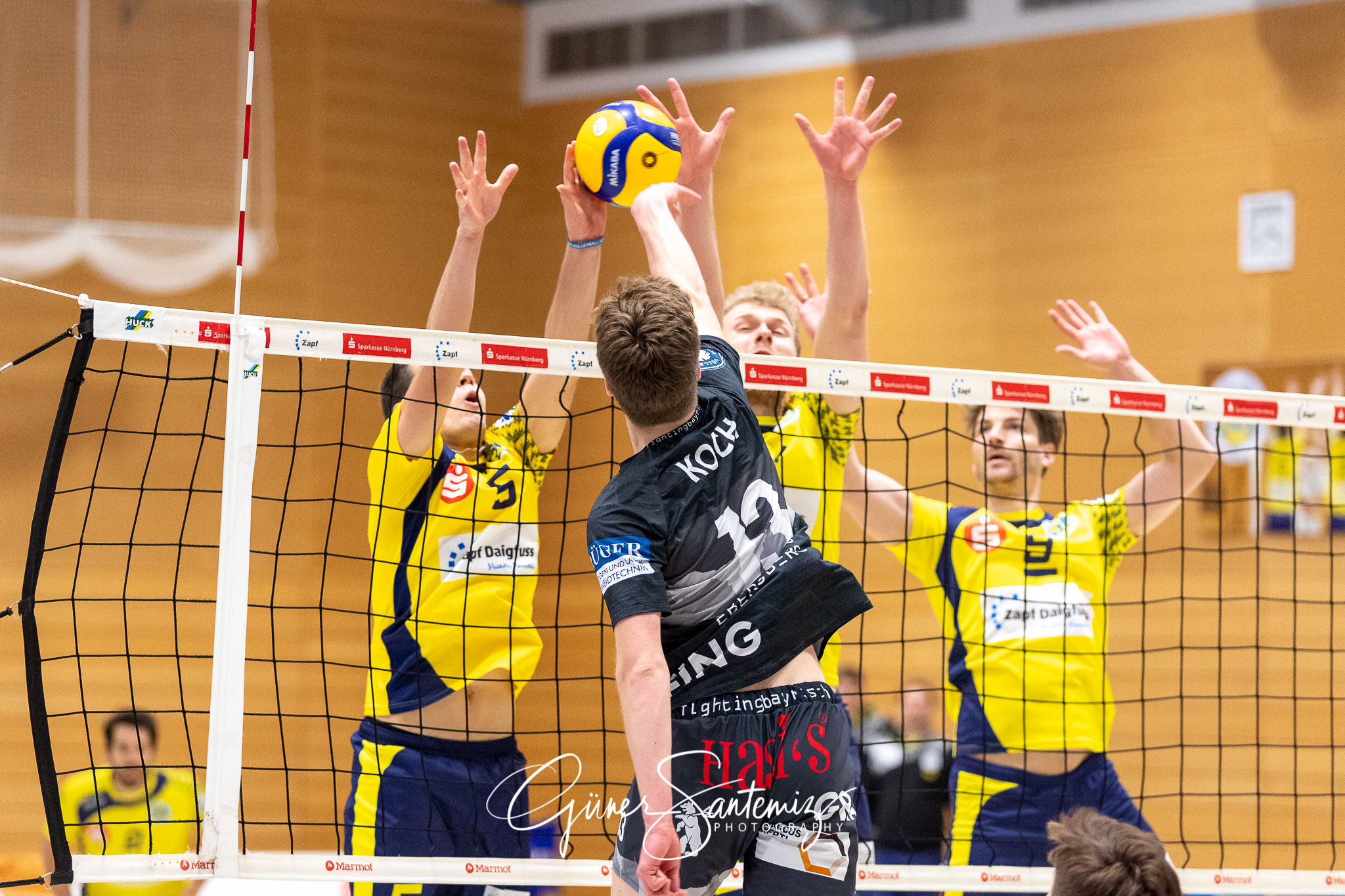 SV Schwaig vs. TSV Grafing - Volleyball - 2. Bundesliga - 17. Sp