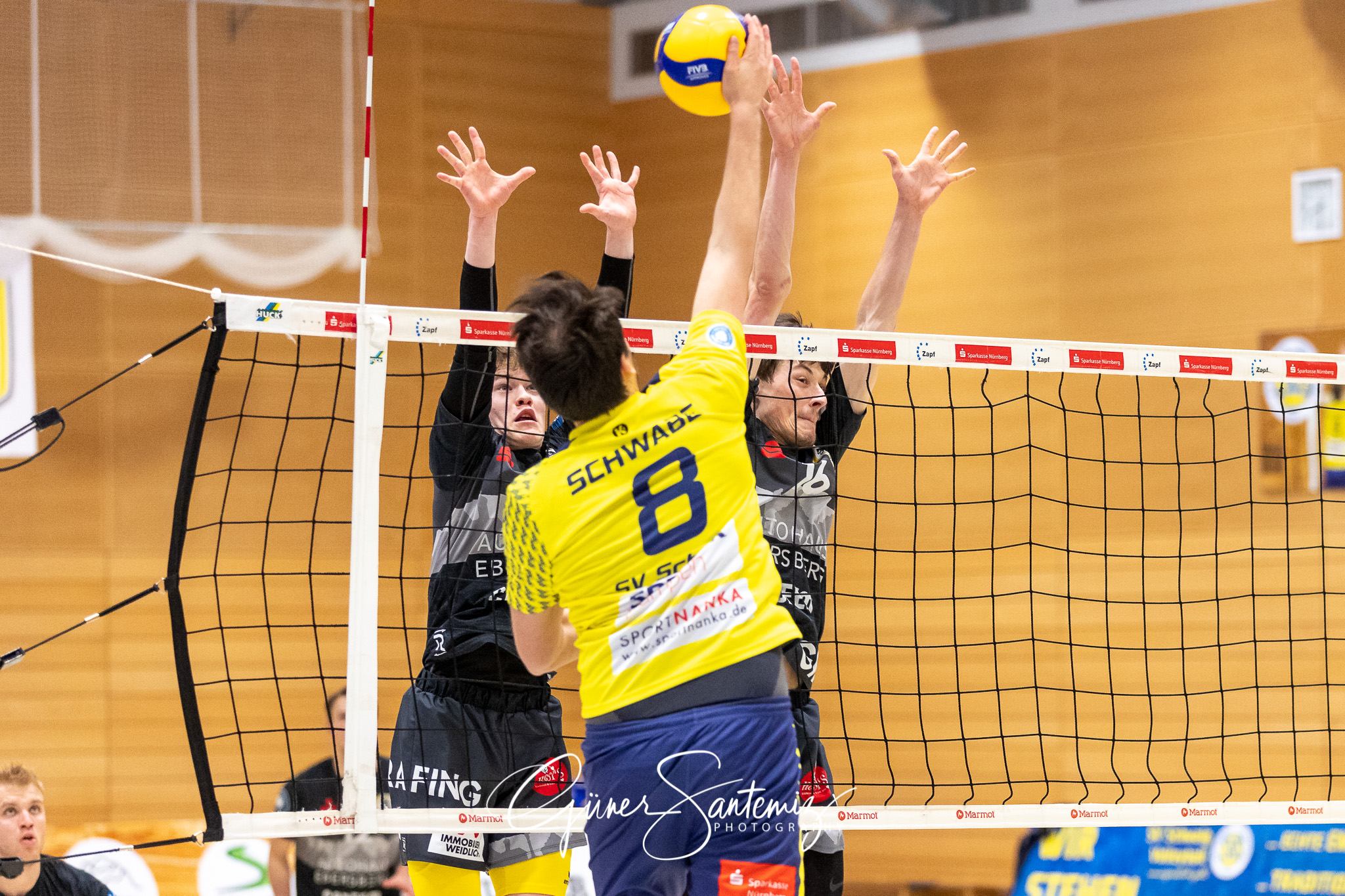 SV Schwaig vs. TSV Grafing - Volleyball - 2. Bundesliga - 17. Sp