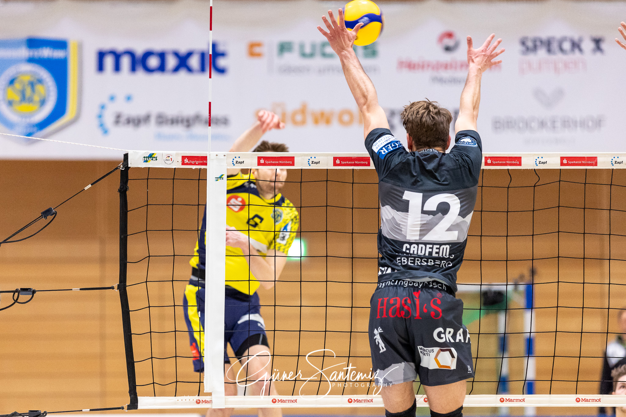 SV Schwaig vs. TSV Grafing - Volleyball - 2. Bundesliga - 17. Sp