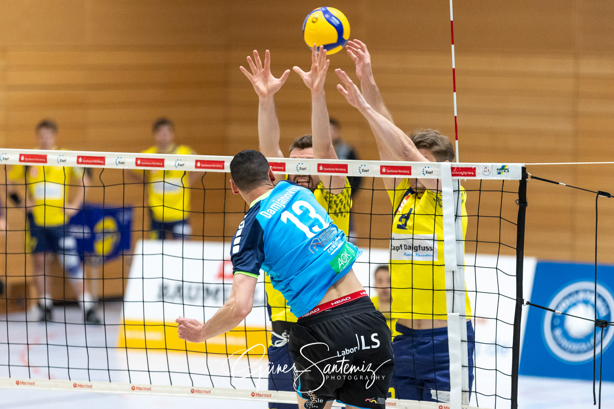 TV/DJK Hammelburg vs. SV Schwaig - Volleyball - 2. Bundesliga -