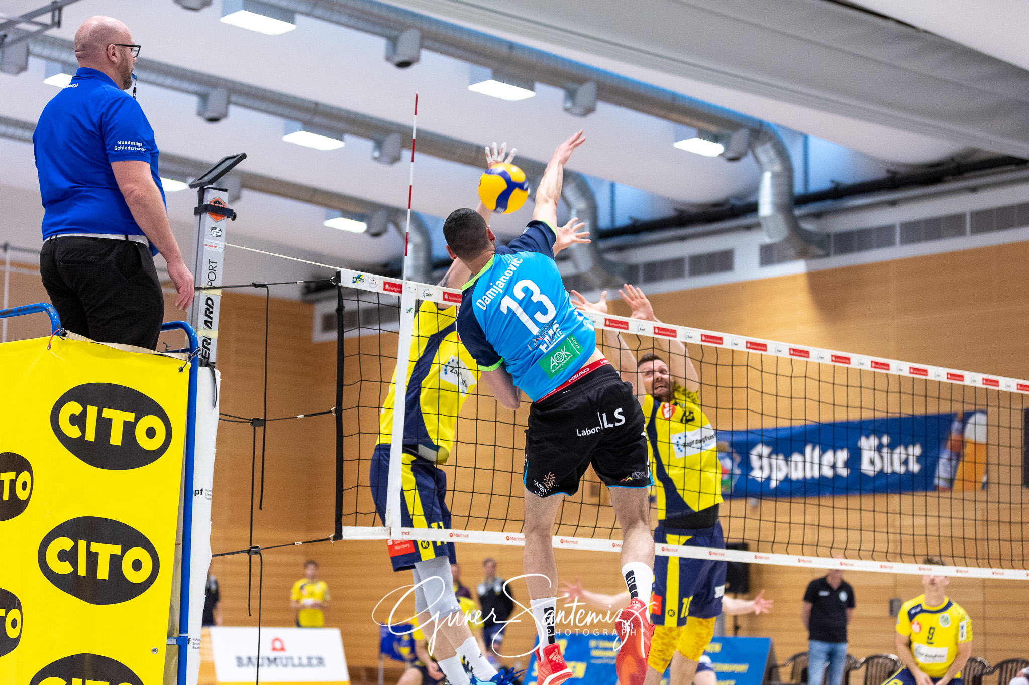 TV/DJK Hammelburg vs. SV Schwaig - Volleyball - 2. Bundesliga -