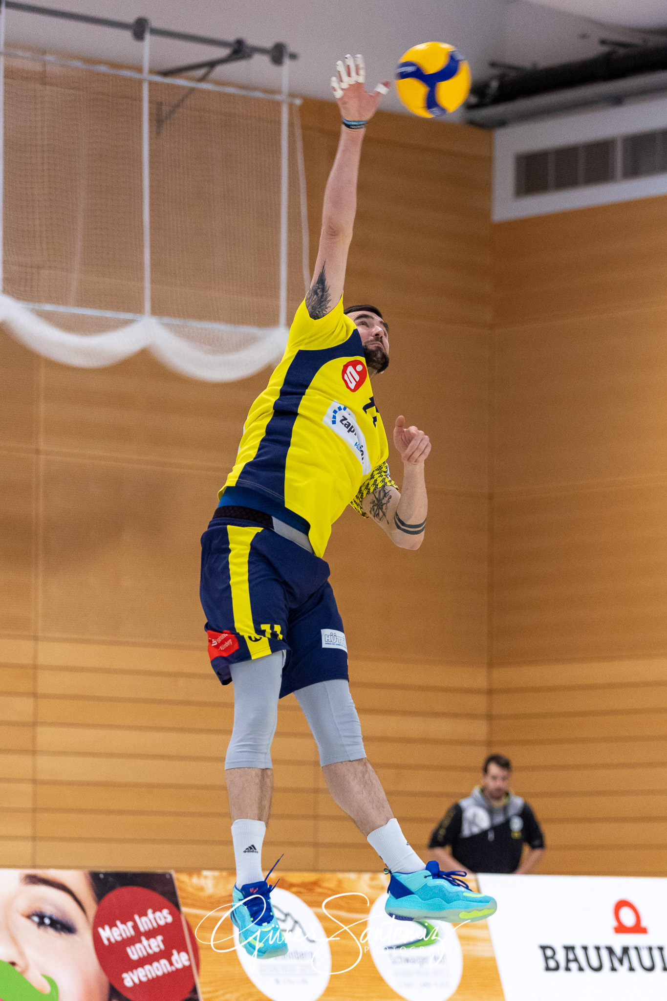 TV/DJK Hammelburg vs. SV Schwaig - Volleyball - 2. Bundesliga -