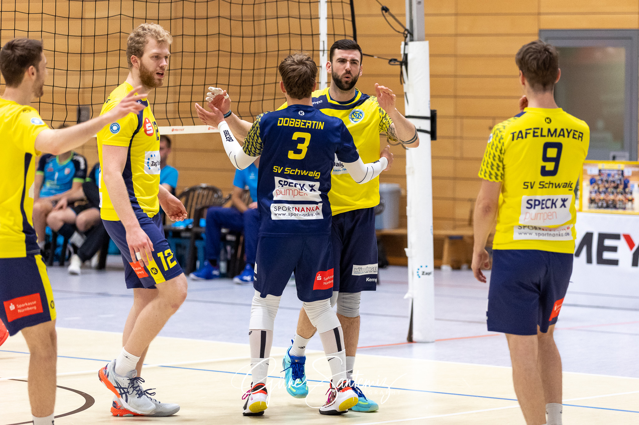 TV/DJK Hammelburg vs. SV Schwaig - Volleyball - 2. Bundesliga -